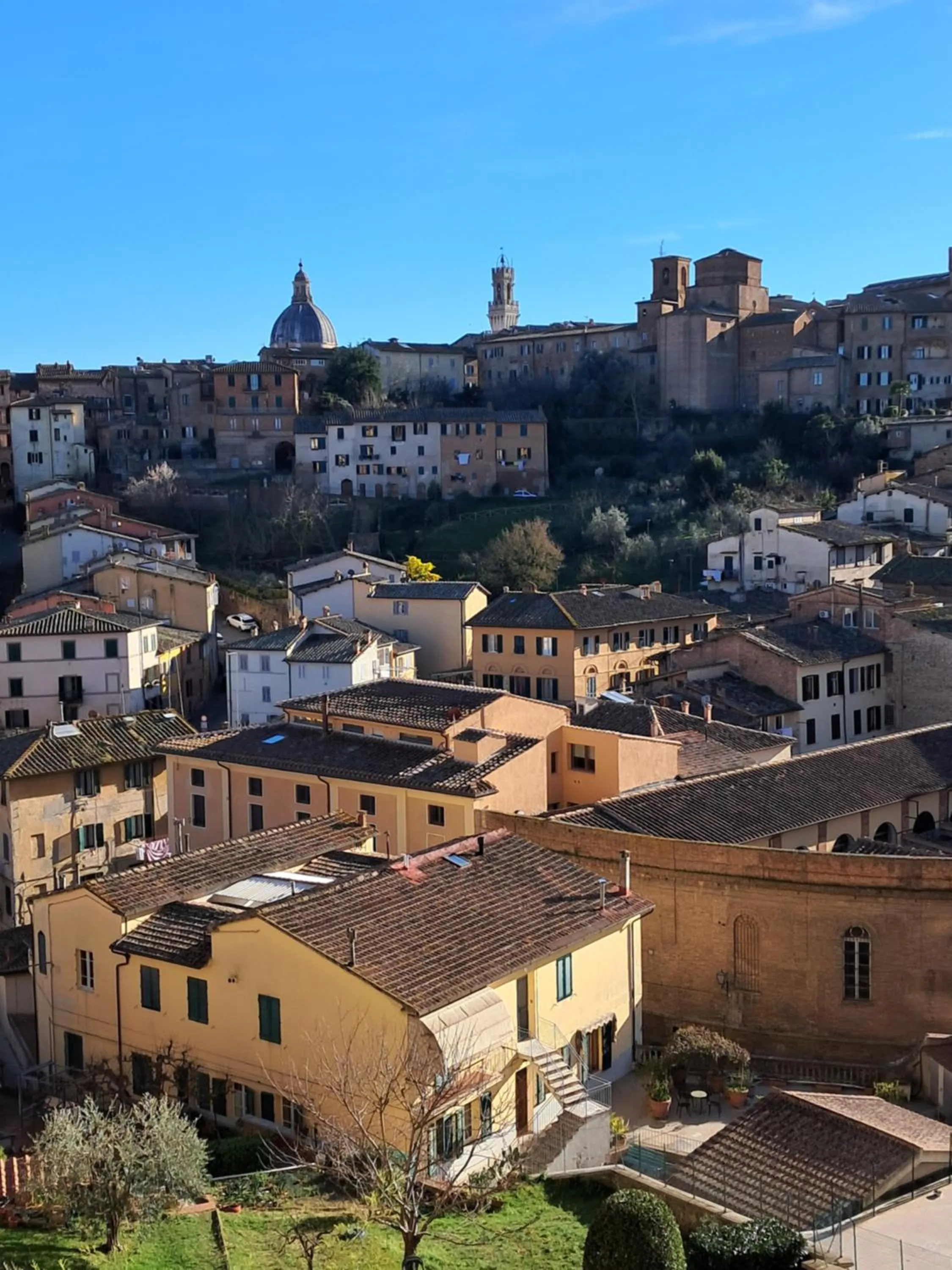 View (from property/room) in Hotel Minerva