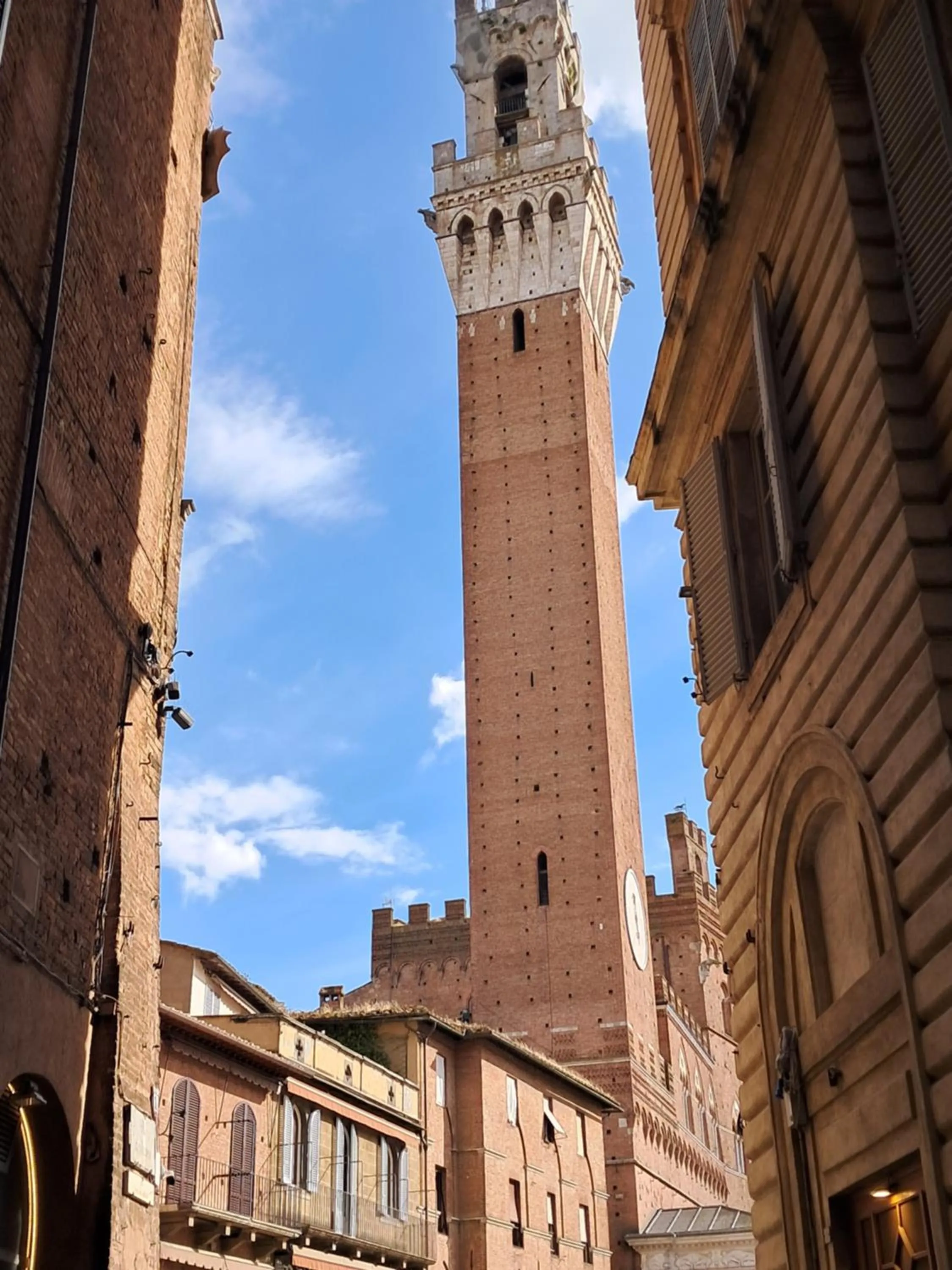 Nearby landmark in Hotel Minerva