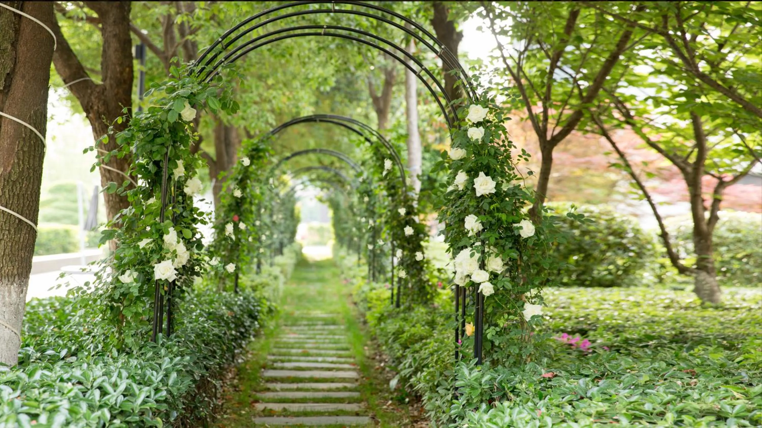 Off site in Hyatt Regency Wuhan Optics Valley