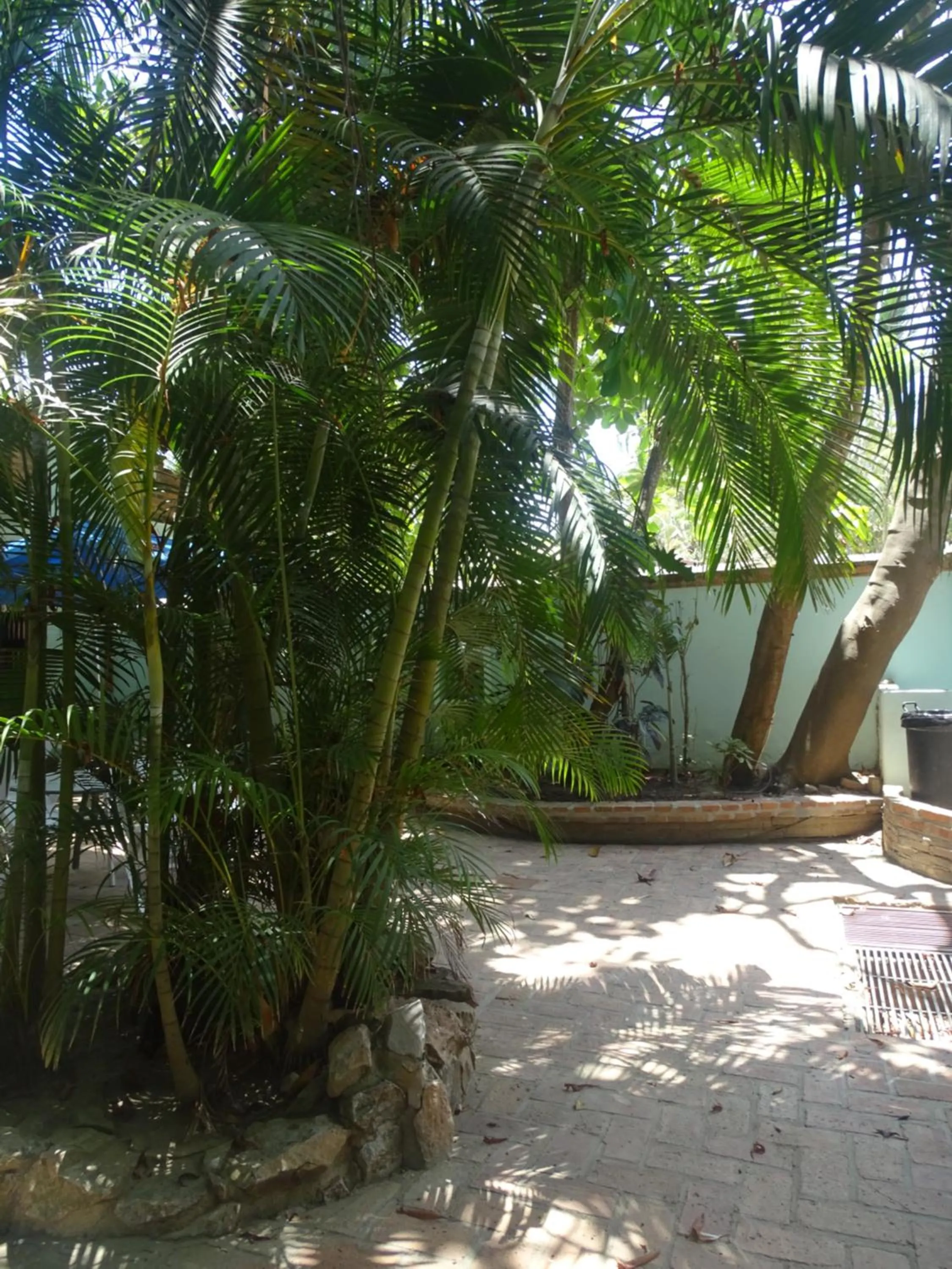 Sayulita Beach House Hotel