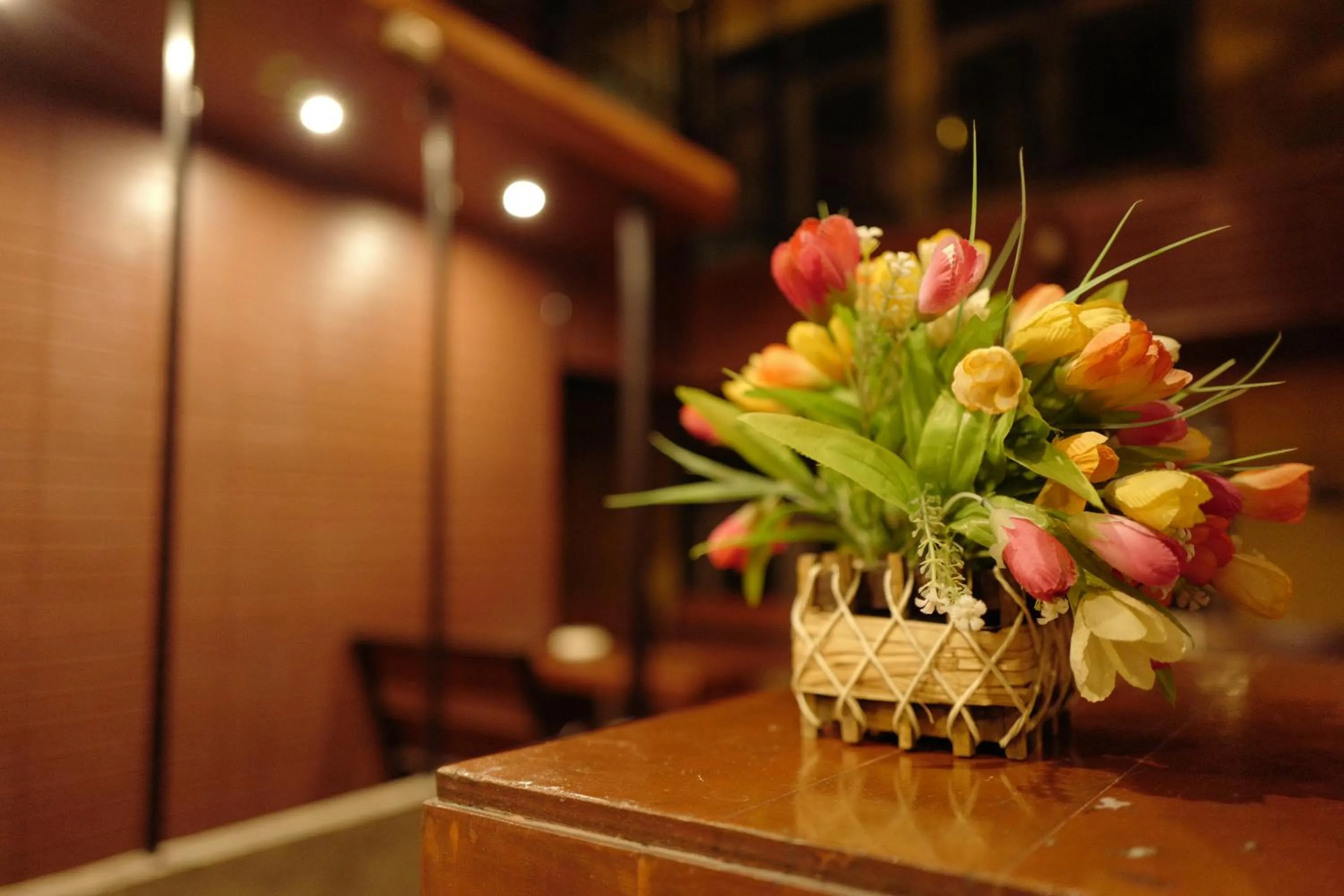 Patio in Decordo Hostel