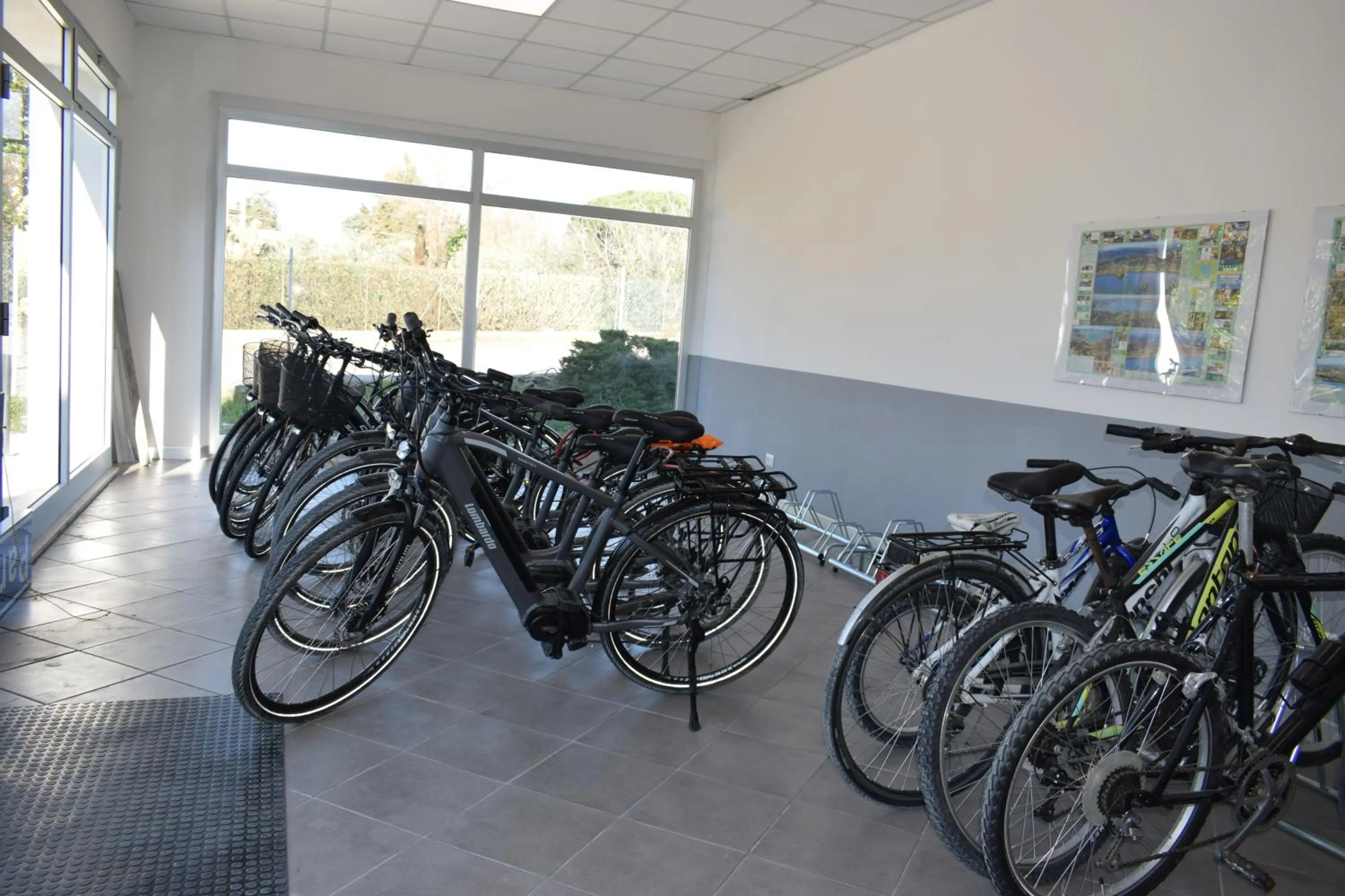 Cycling in Parkhotel Montigeto