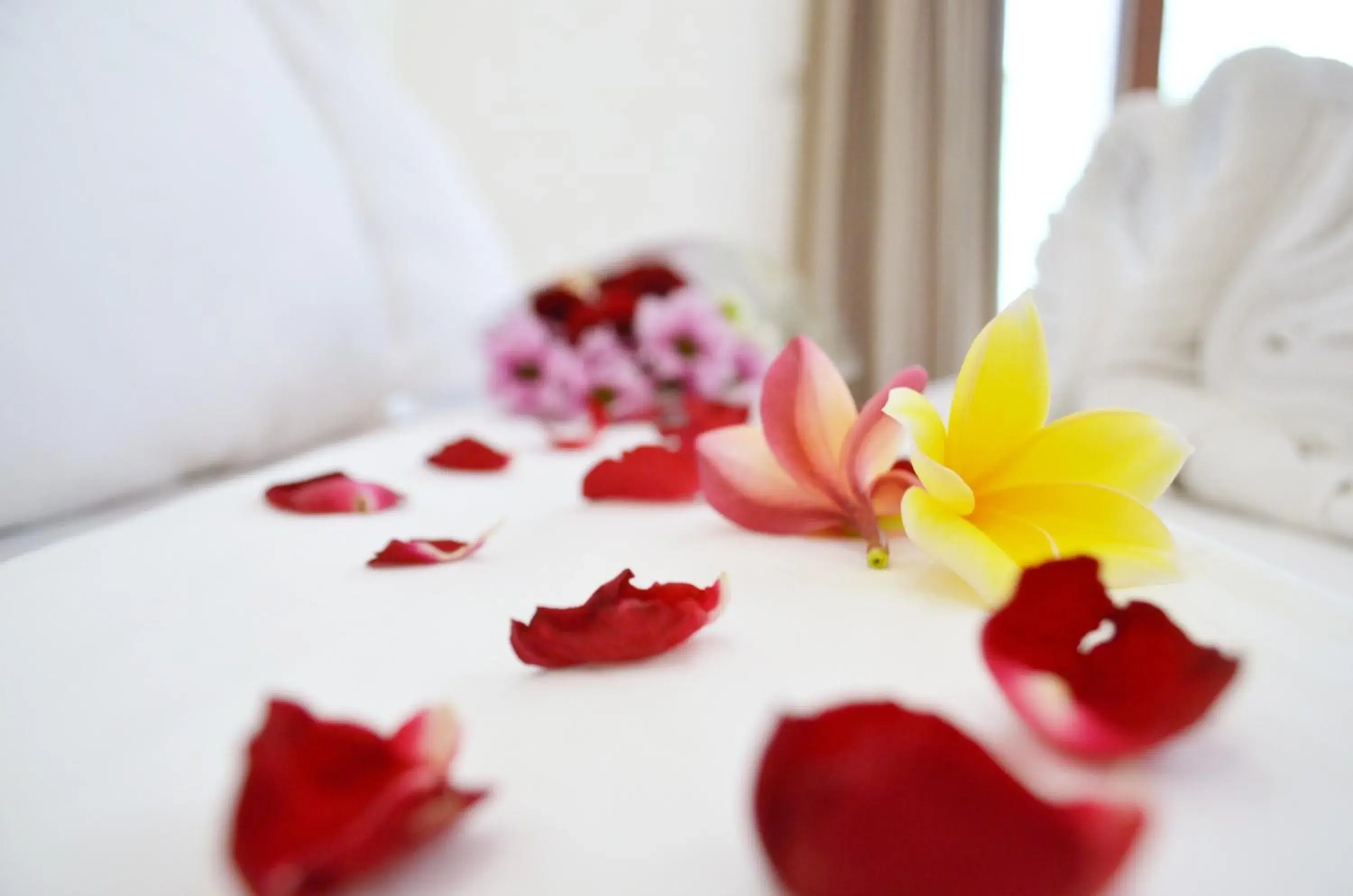 Decorative detail, Bed in Jas Green Villas and Spa Decorative detail, Bed in Jas Green Villas and Spa