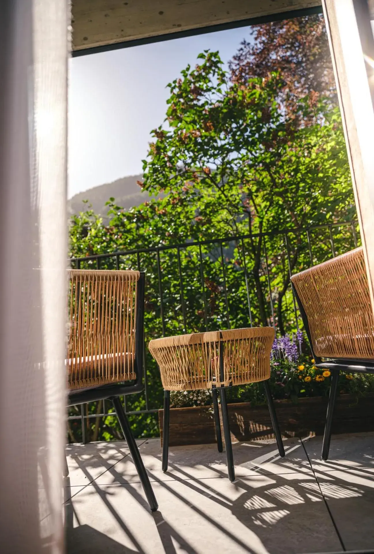 View (from property/room) in Hotel Tannenhof View (from property/room) in Hotel Tannenhof