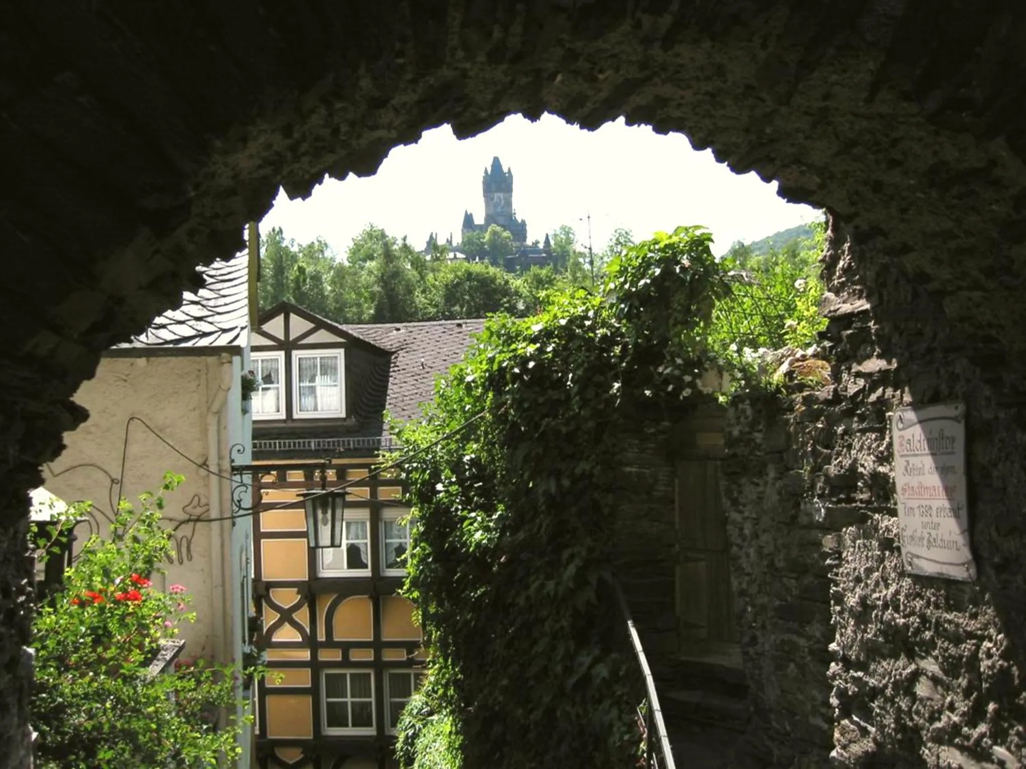Area and facilities in Appartement Moselblick