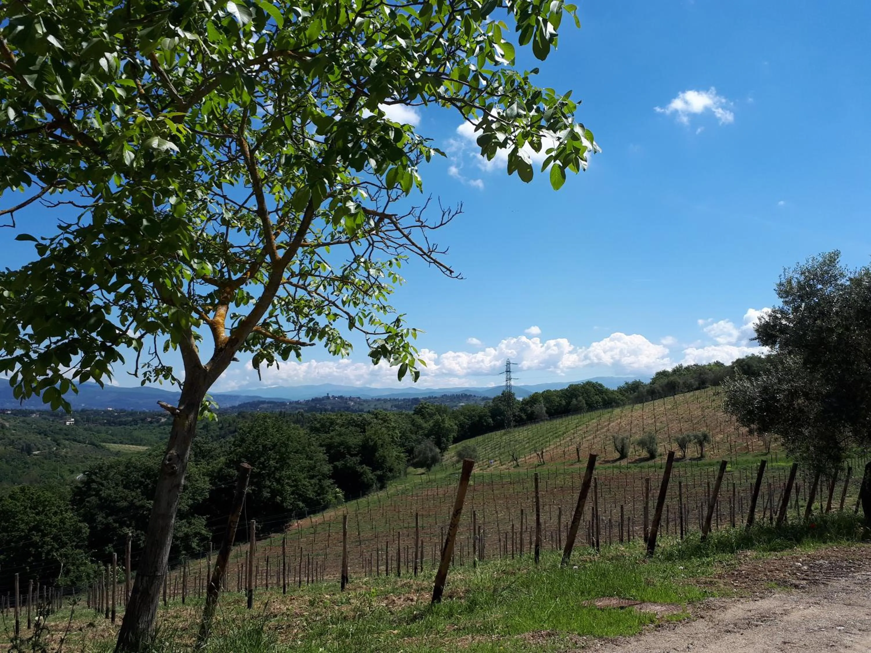 Garden in Fattoria Il Milione Agriturismo