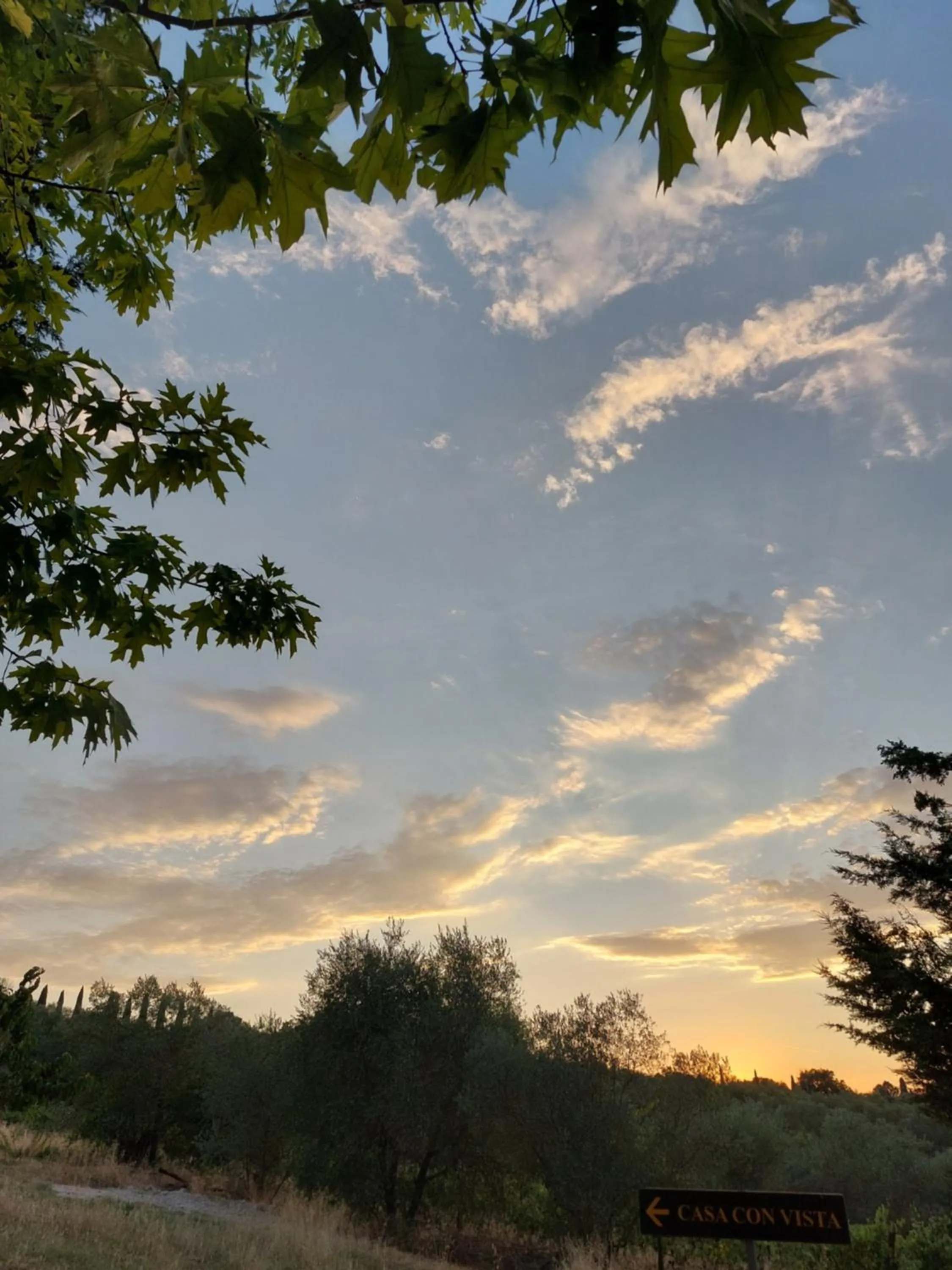 Day in Fattoria Il Milione Agriturismo