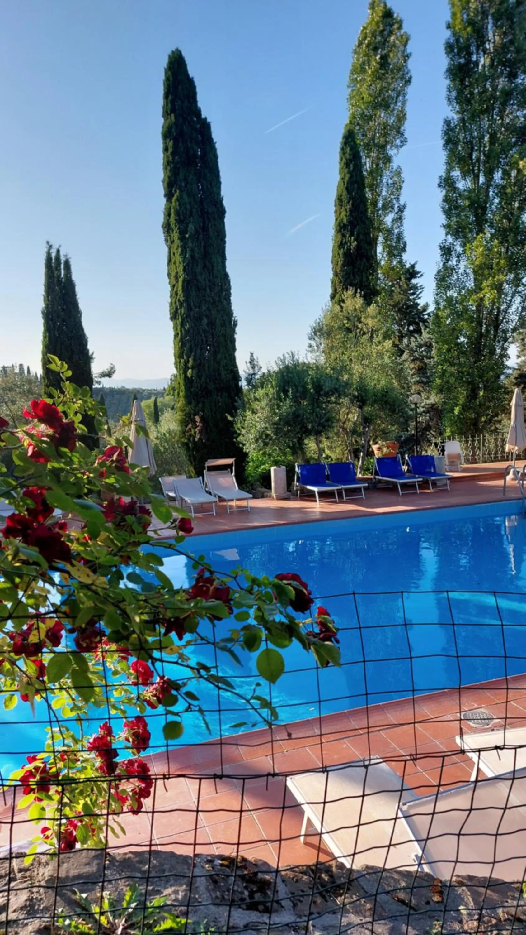 Pool view in Fattoria Il Milione Agriturismo