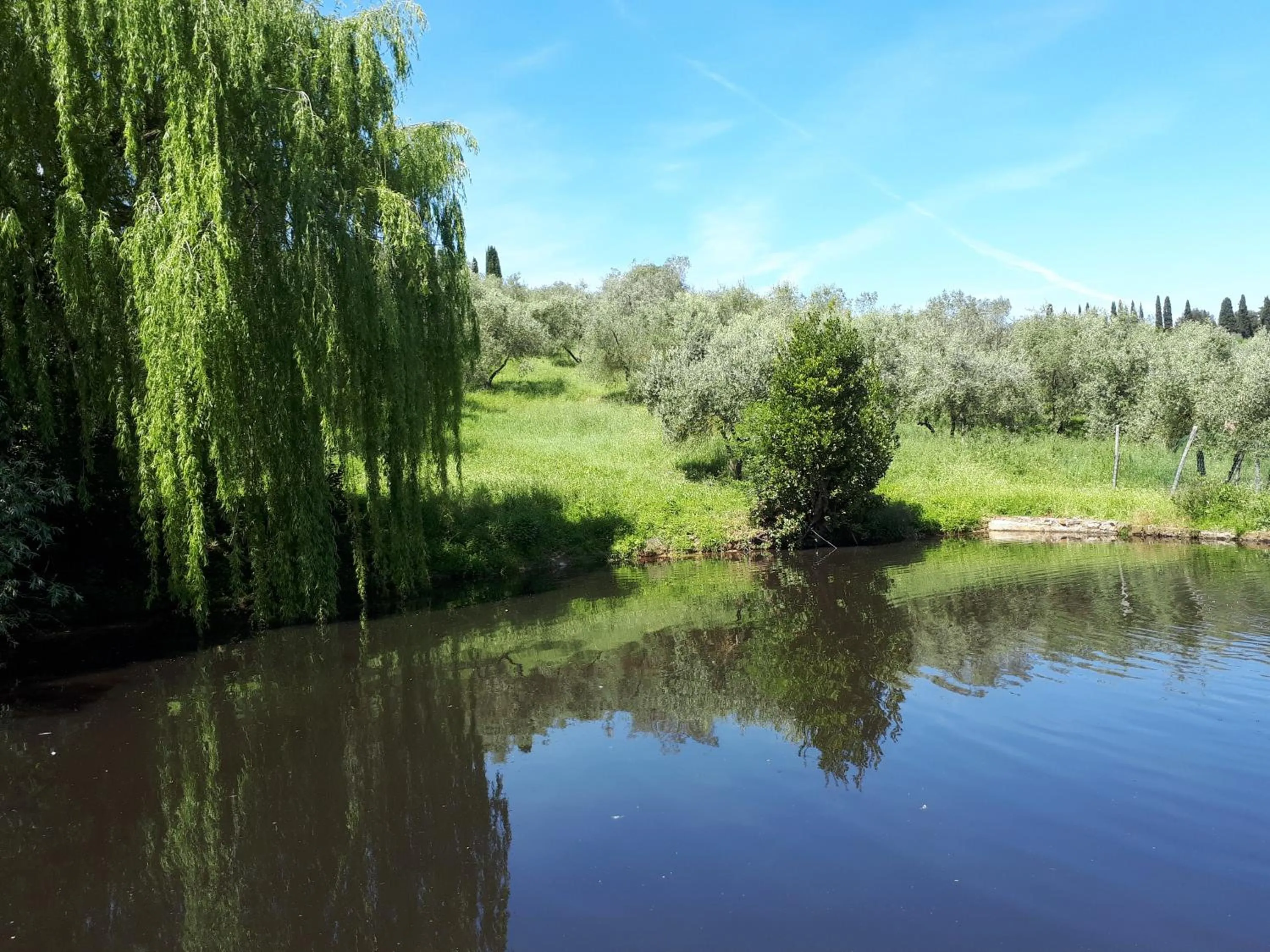 Garden in Fattoria Il Milione Agriturismo