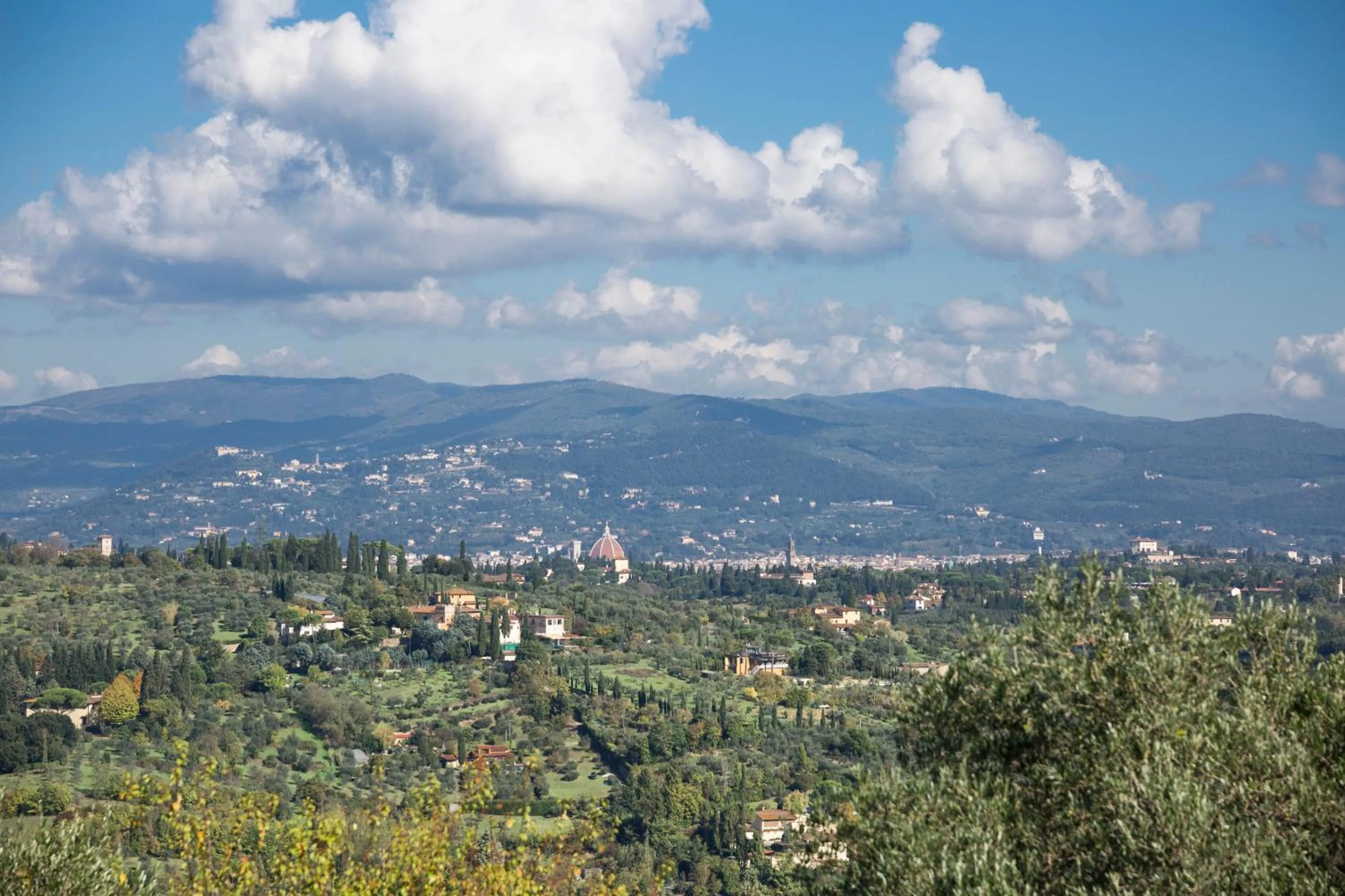 Natural landscape in Fattoria Il Milione Agriturismo
