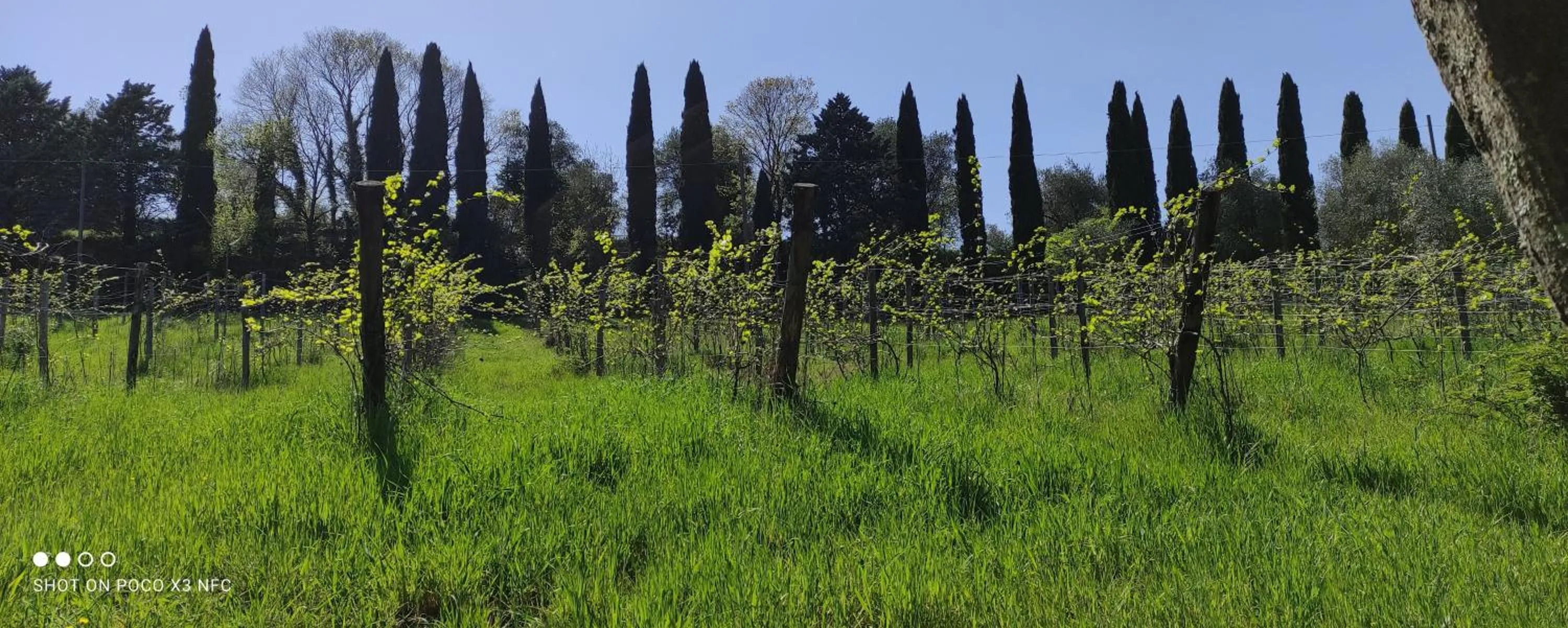 Day in Fattoria Il Milione Agriturismo
