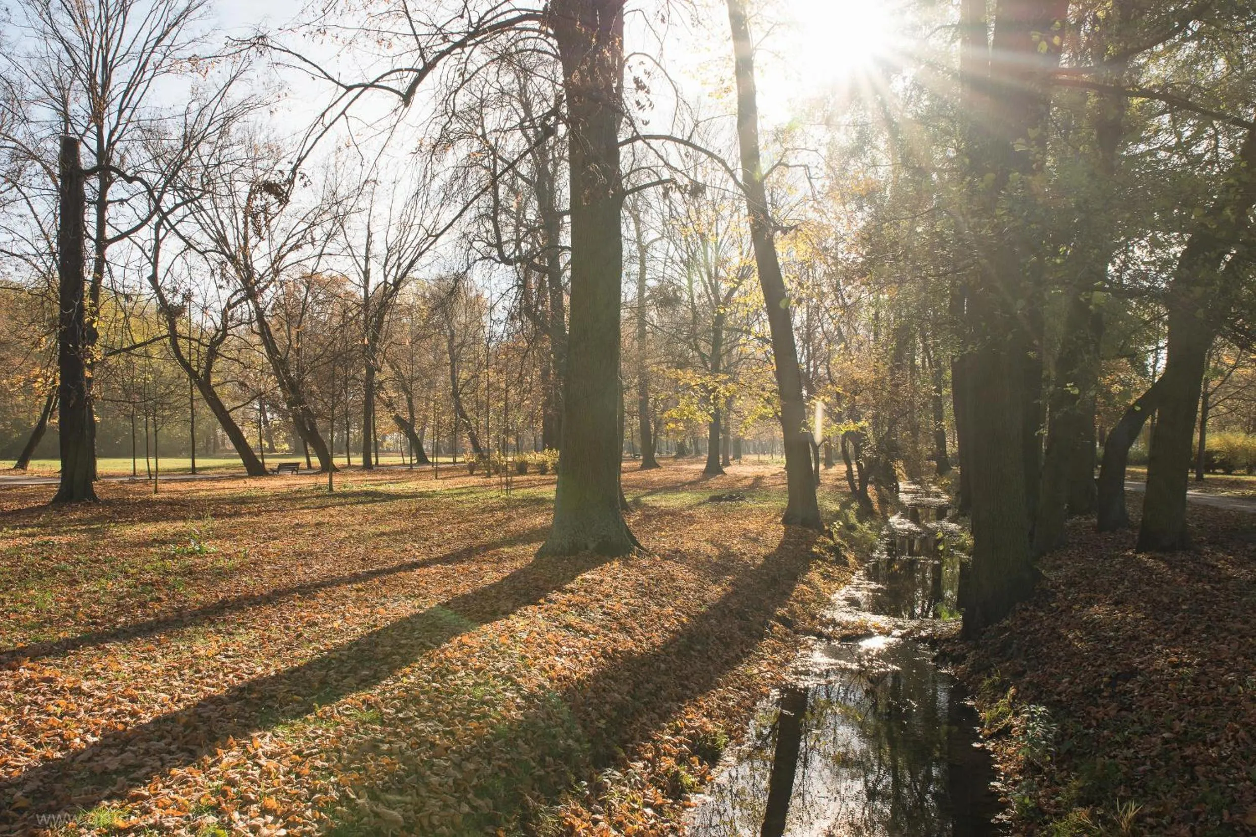 Natural landscape in HOTEL I RESTAURACJA BROCHÓW