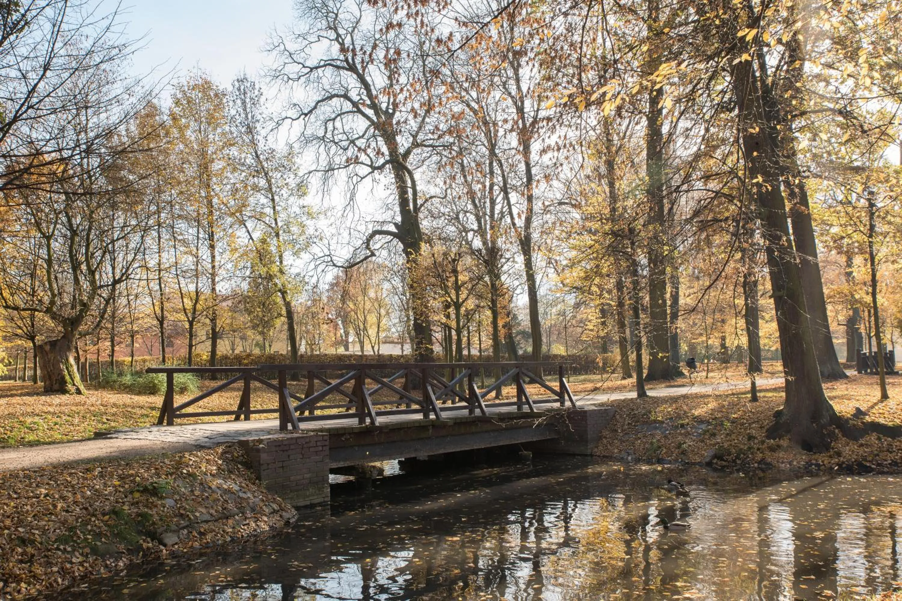 Activities in HOTEL I RESTAURACJA BROCHÓW