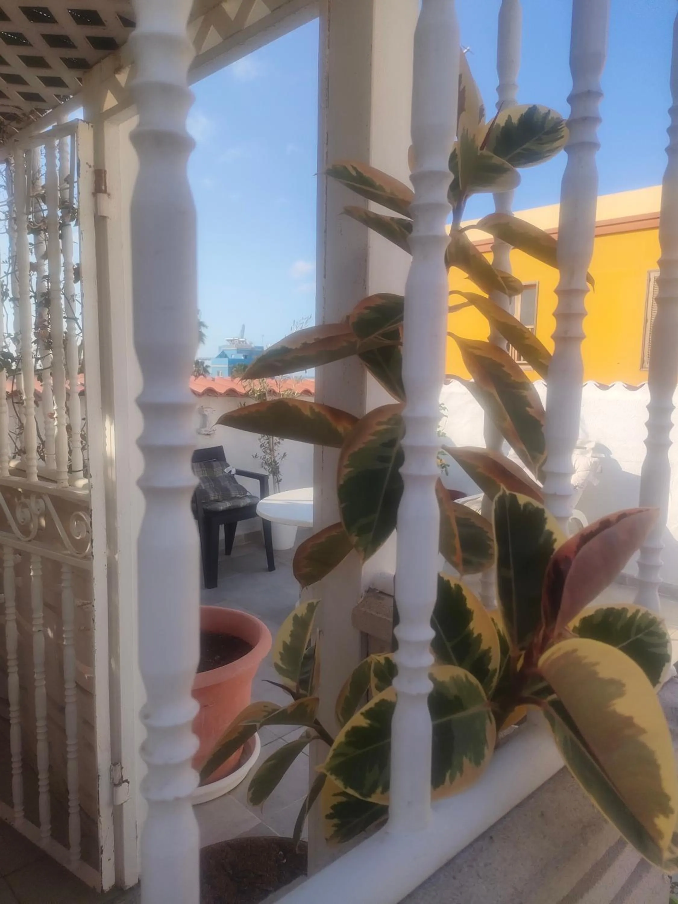 Alba 2 apartamento y Alba 3 habitación con baño