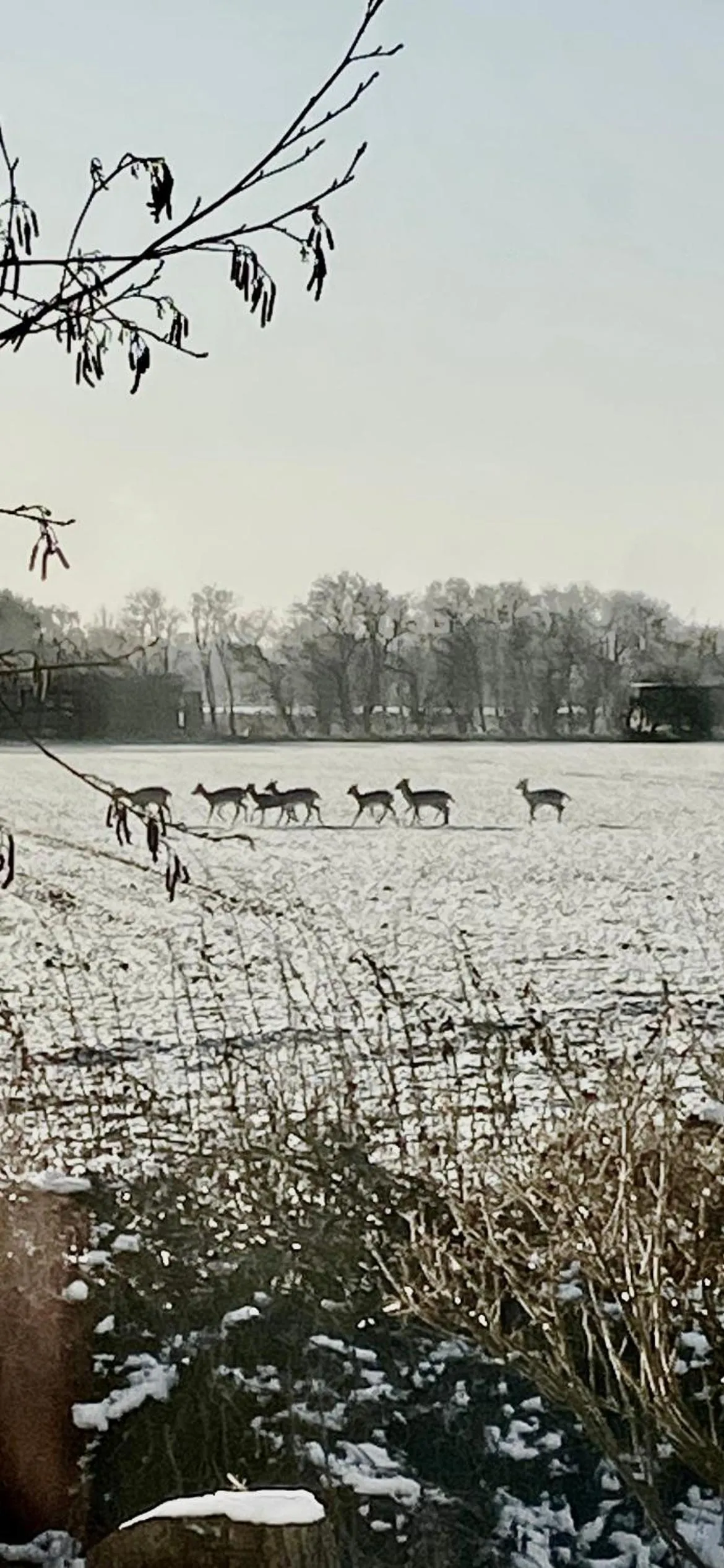 Skorstensfejerens Bed & Breakfast