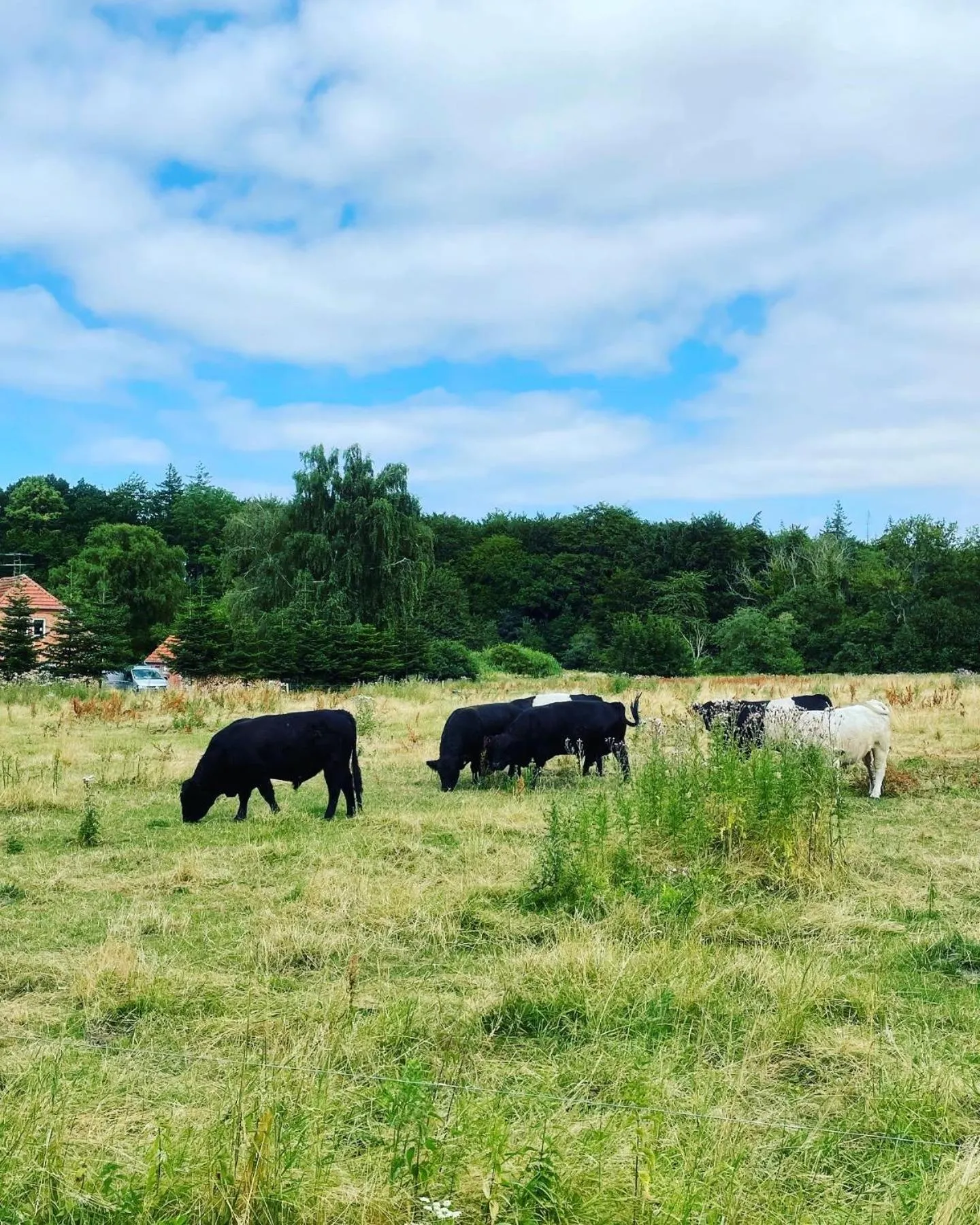 Skorstensfejerens Bed & Breakfast