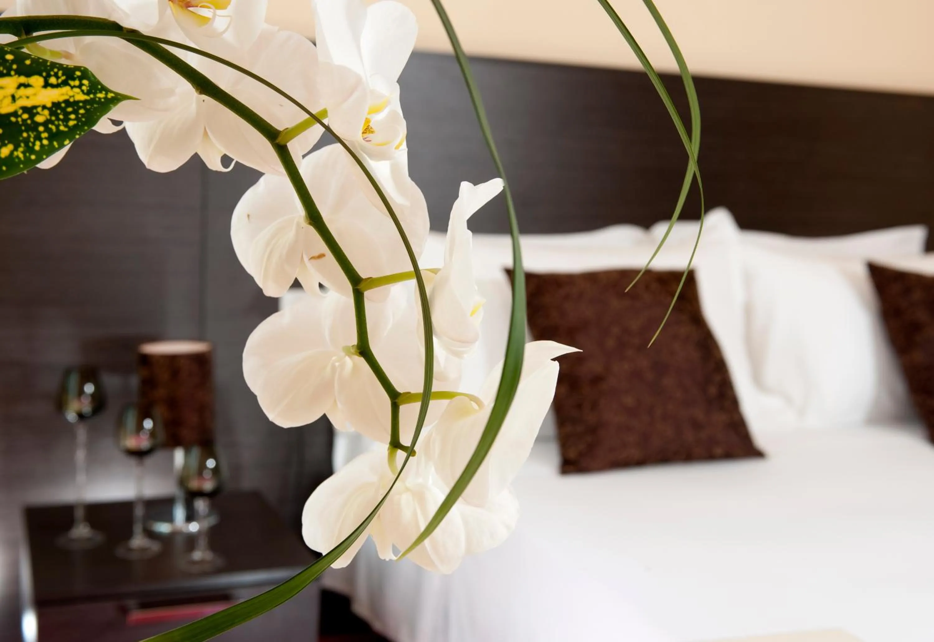 Bed in Park Hotel Kursaal