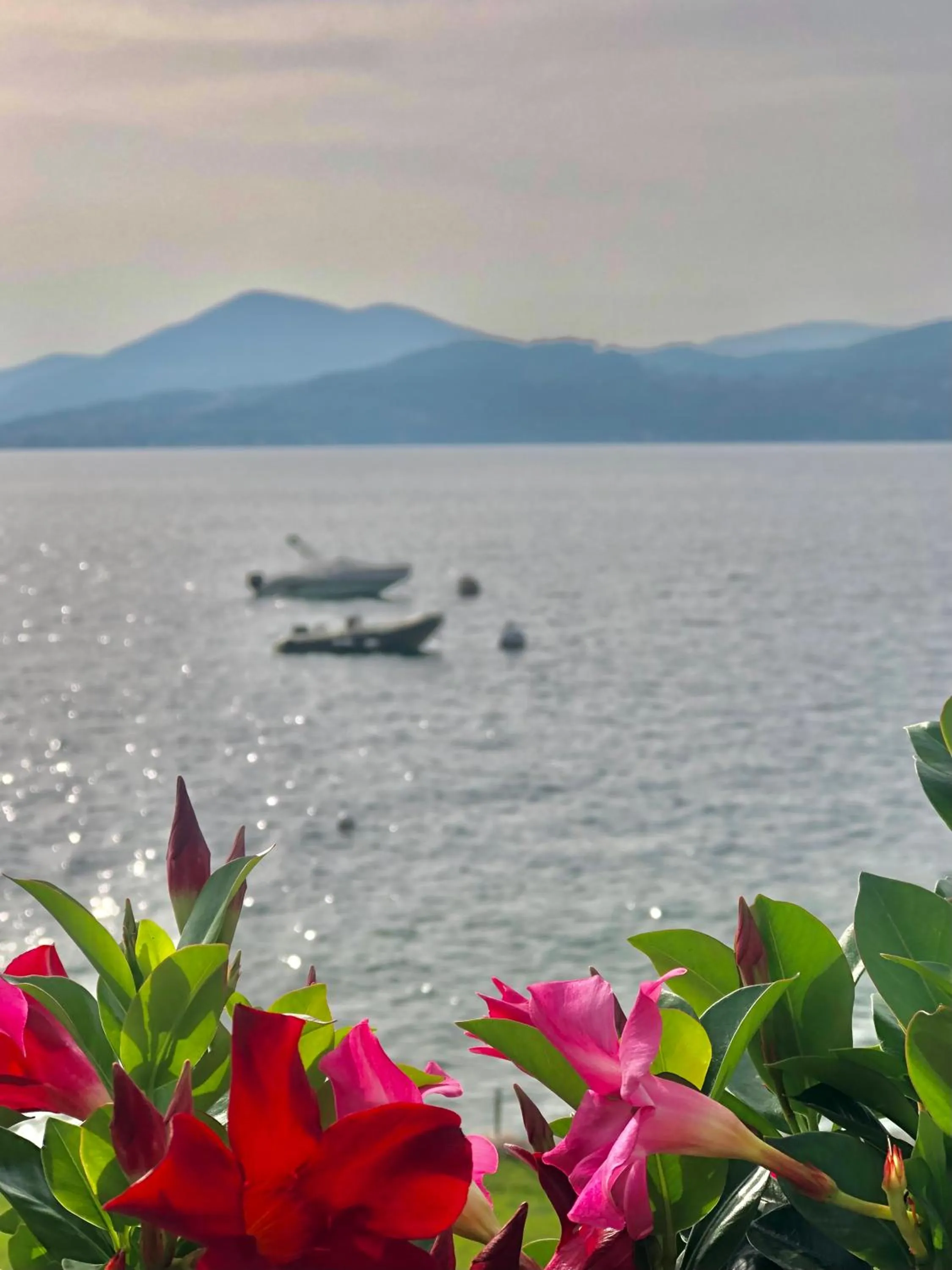 Natural landscape in Residence Casa e Vela