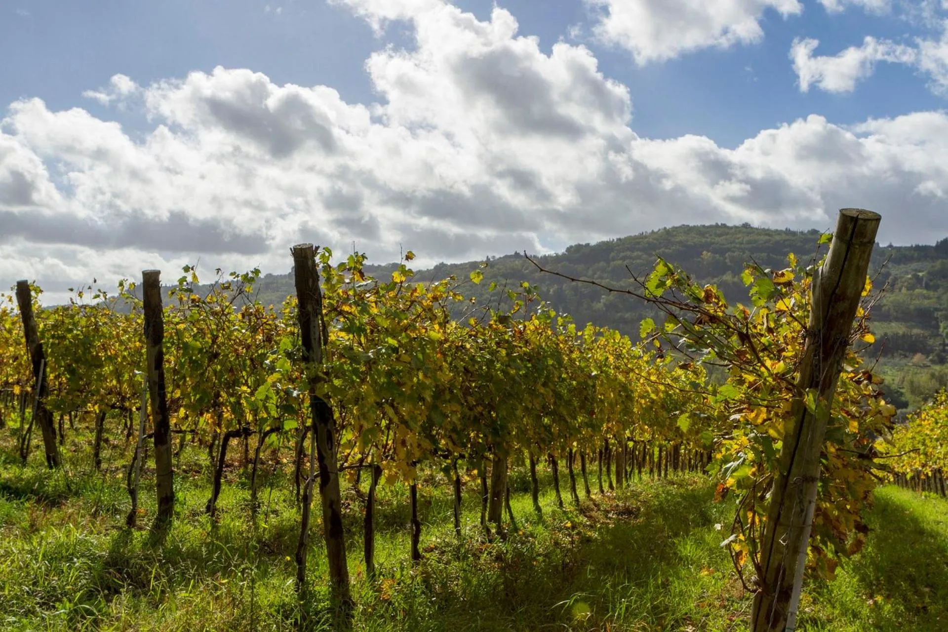 Activities in Relais Poggio Borgoni