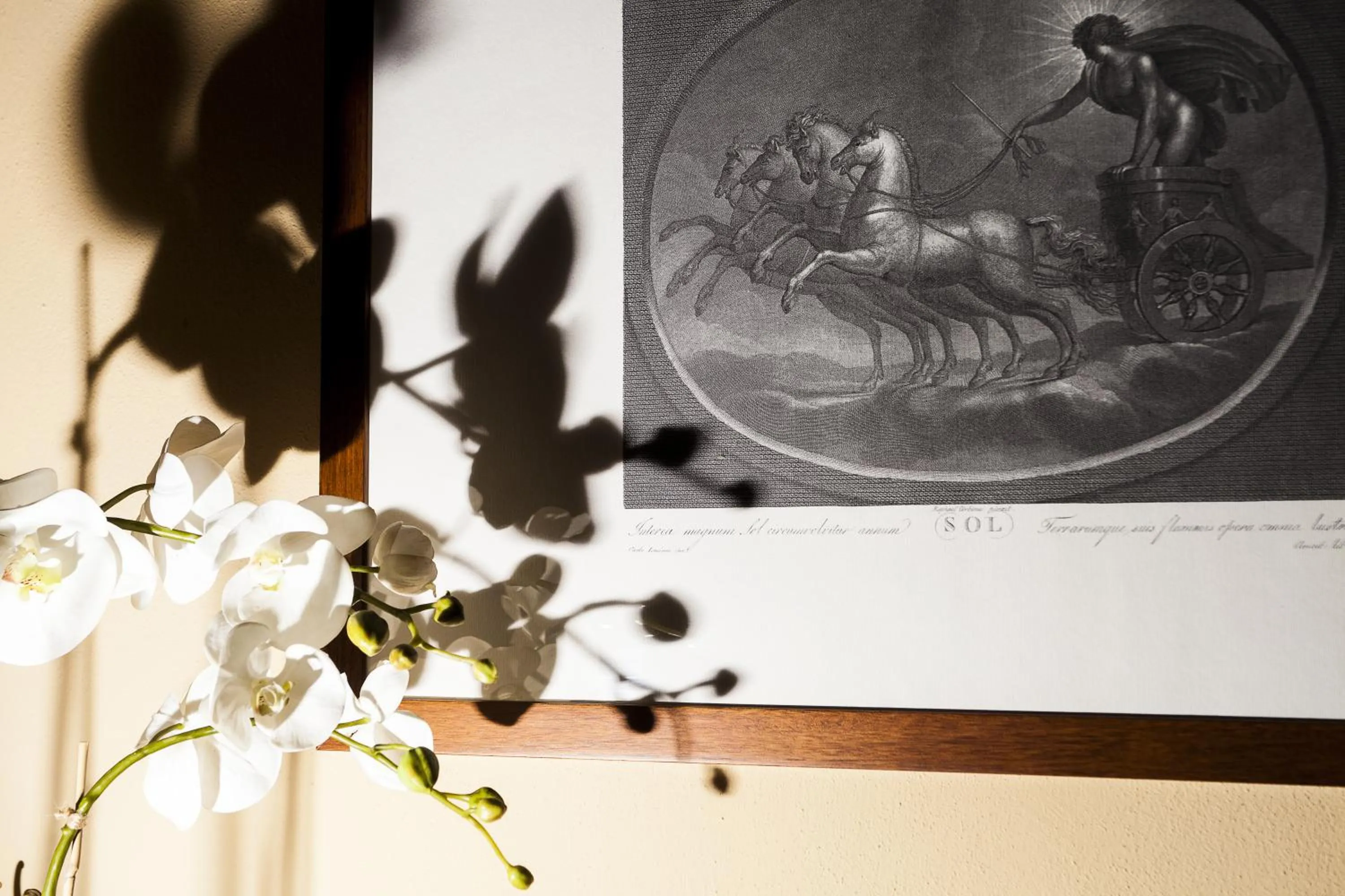 Decorative detail in Residenza d'Epoca Palazzo Galletti