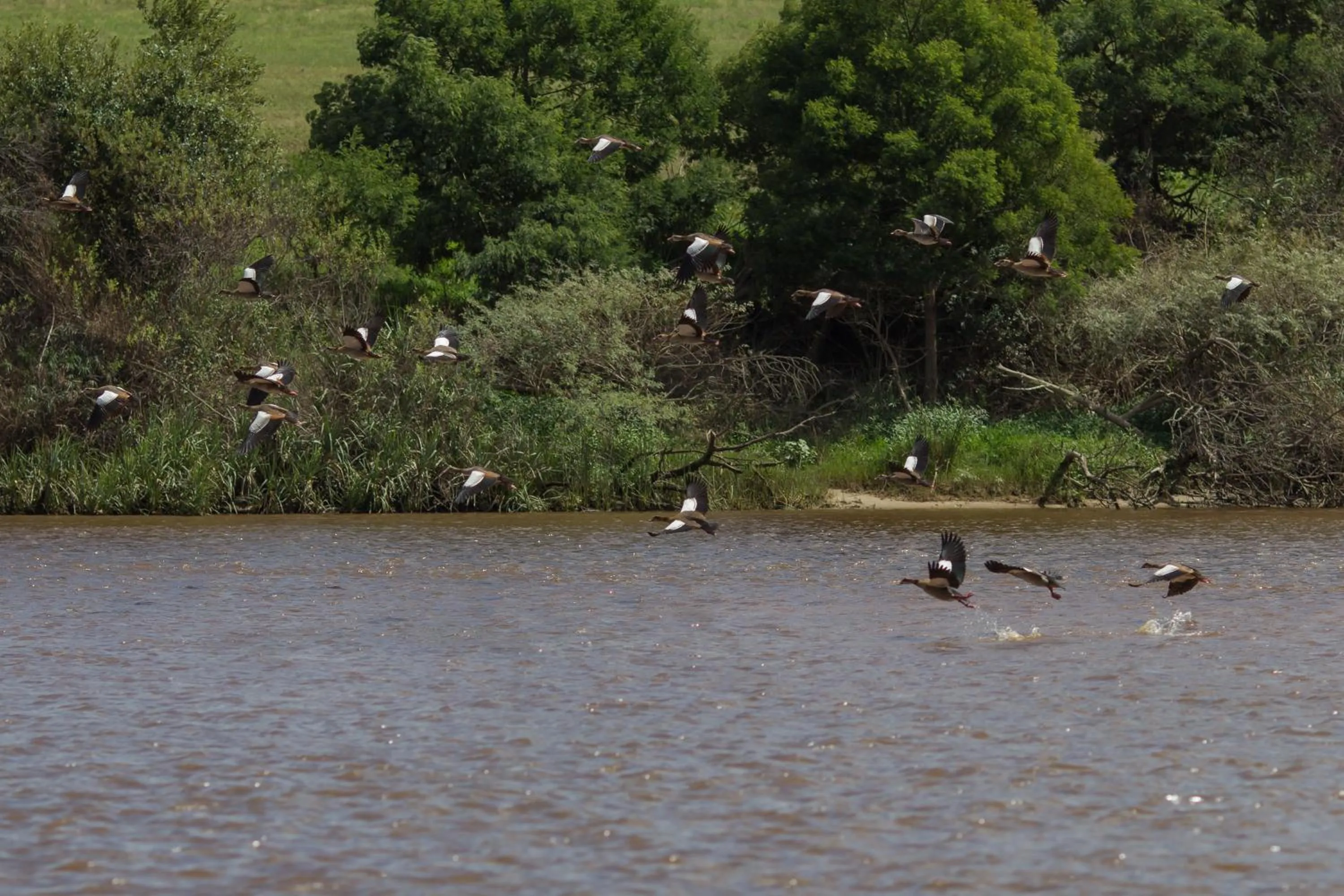 Natural landscape in Malagas Hotel
