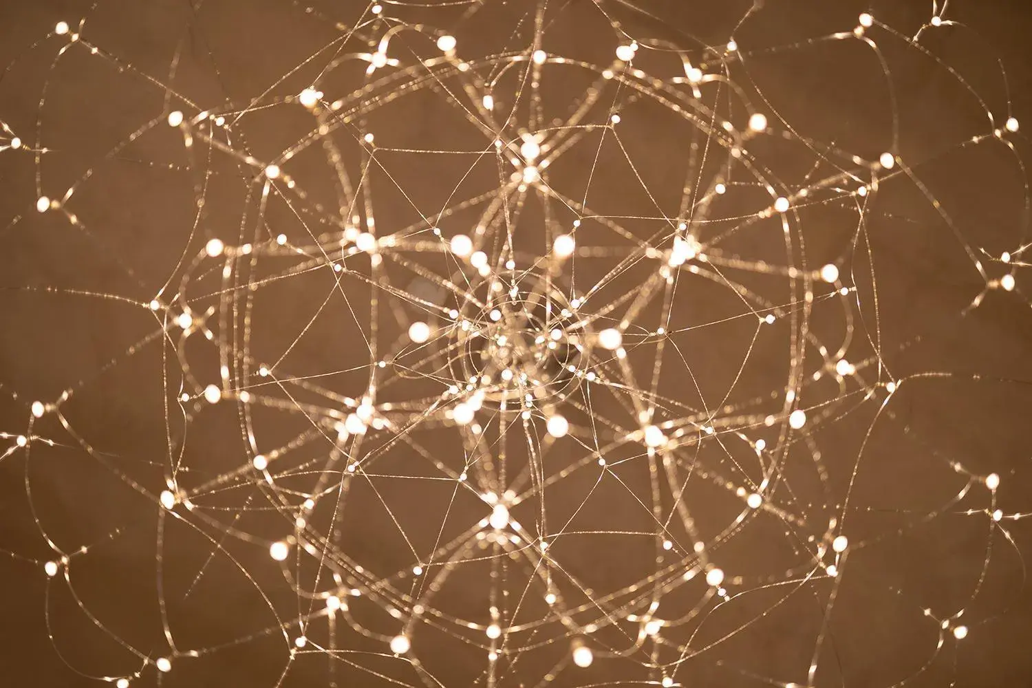 Grand Universe Lucca, Autograph Collection Grand Universe Lucca, Autograph Collection