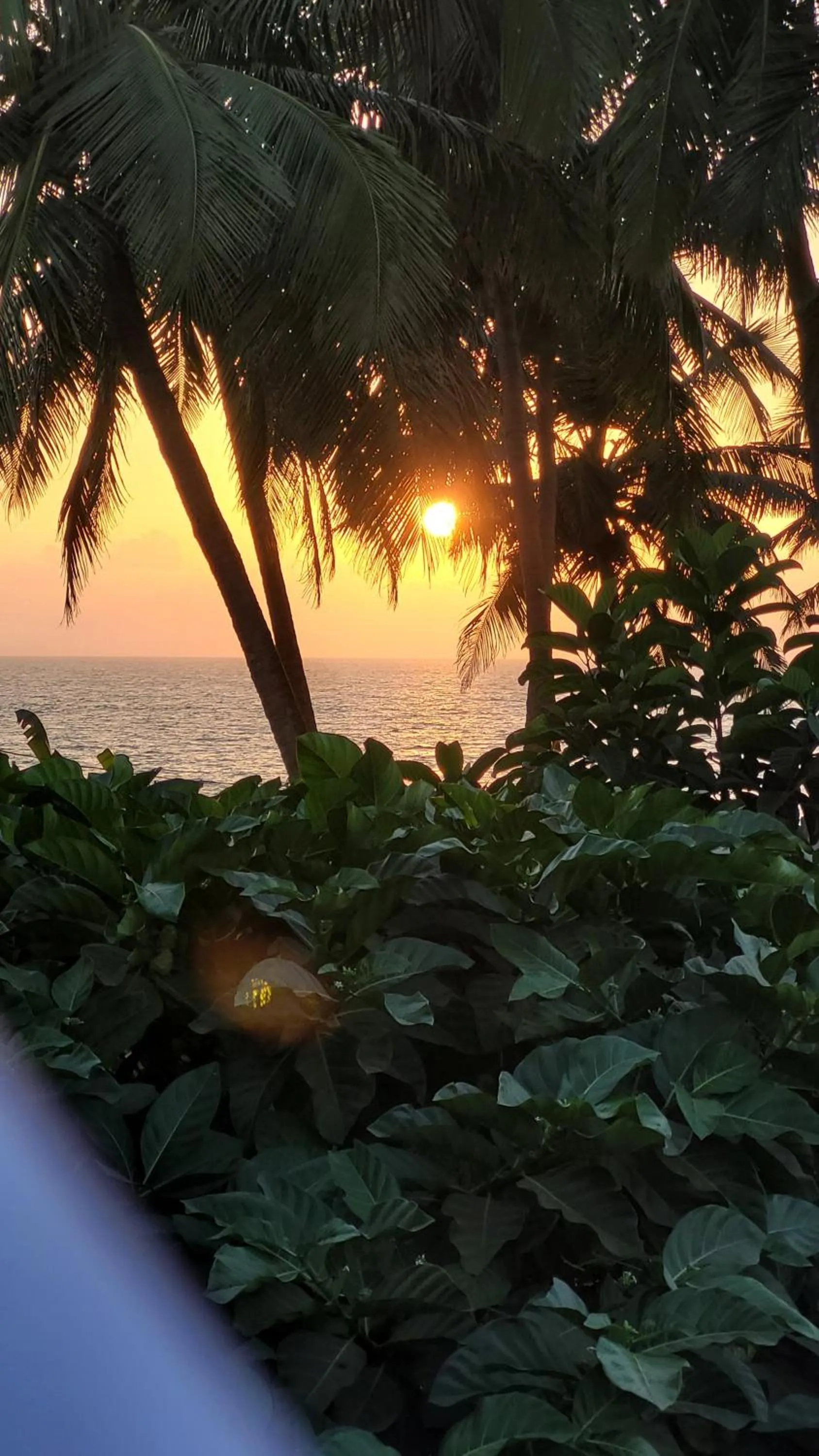 Sunset in Hostel Mandala