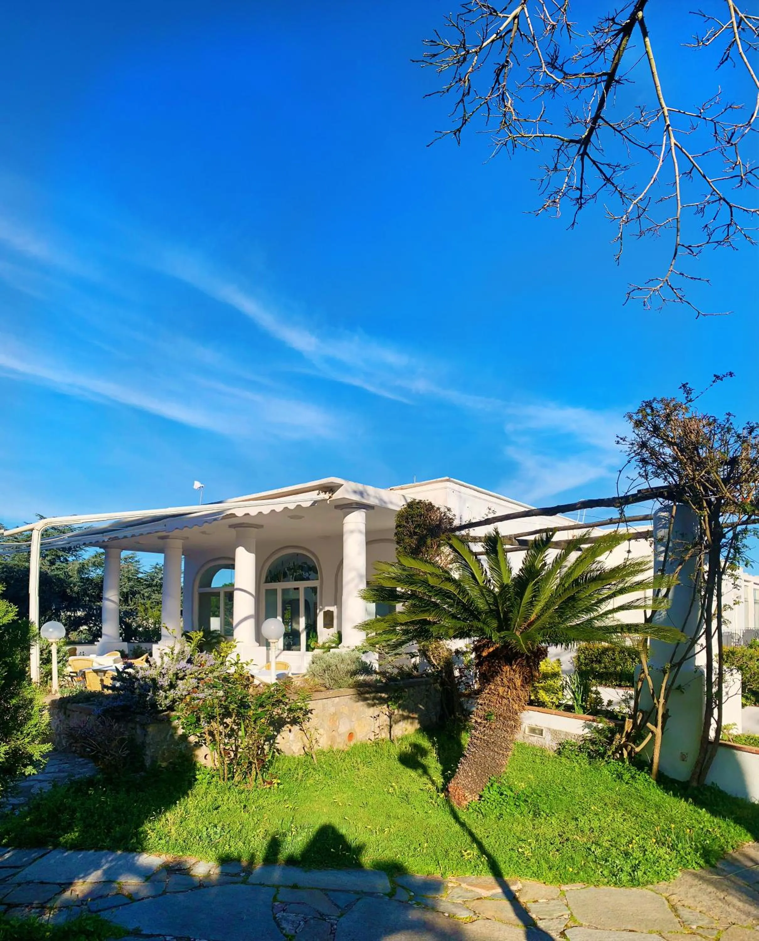 Garden in Hotel Bellavista