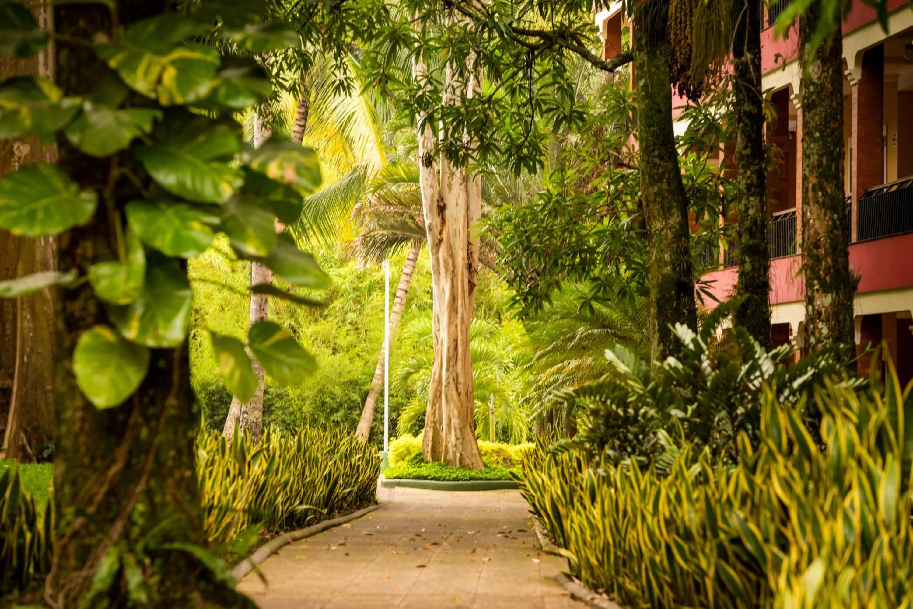 Garden in Hotel El Arco