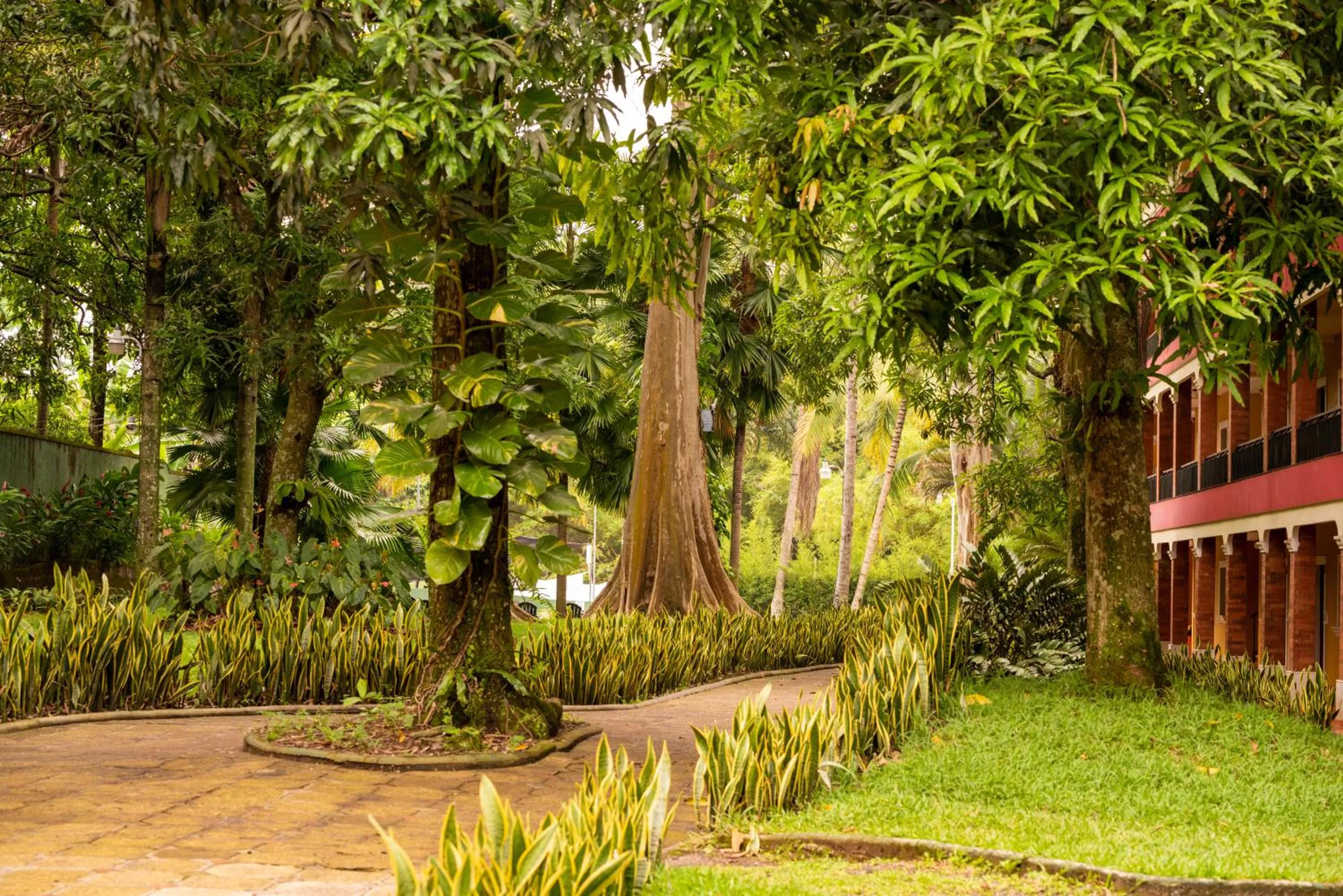 Garden in Hotel El Arco