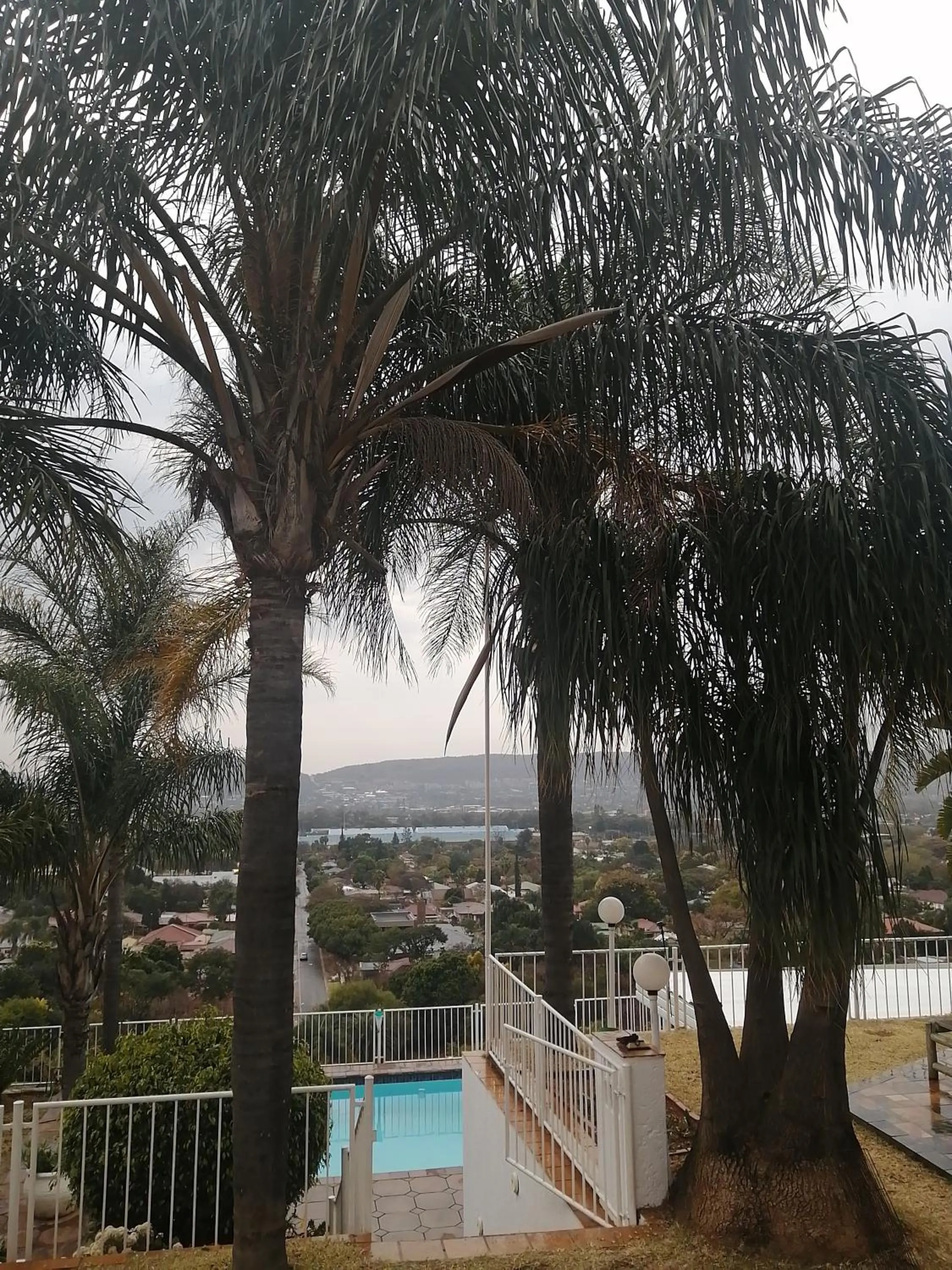 Pool view in Palm View Guest House