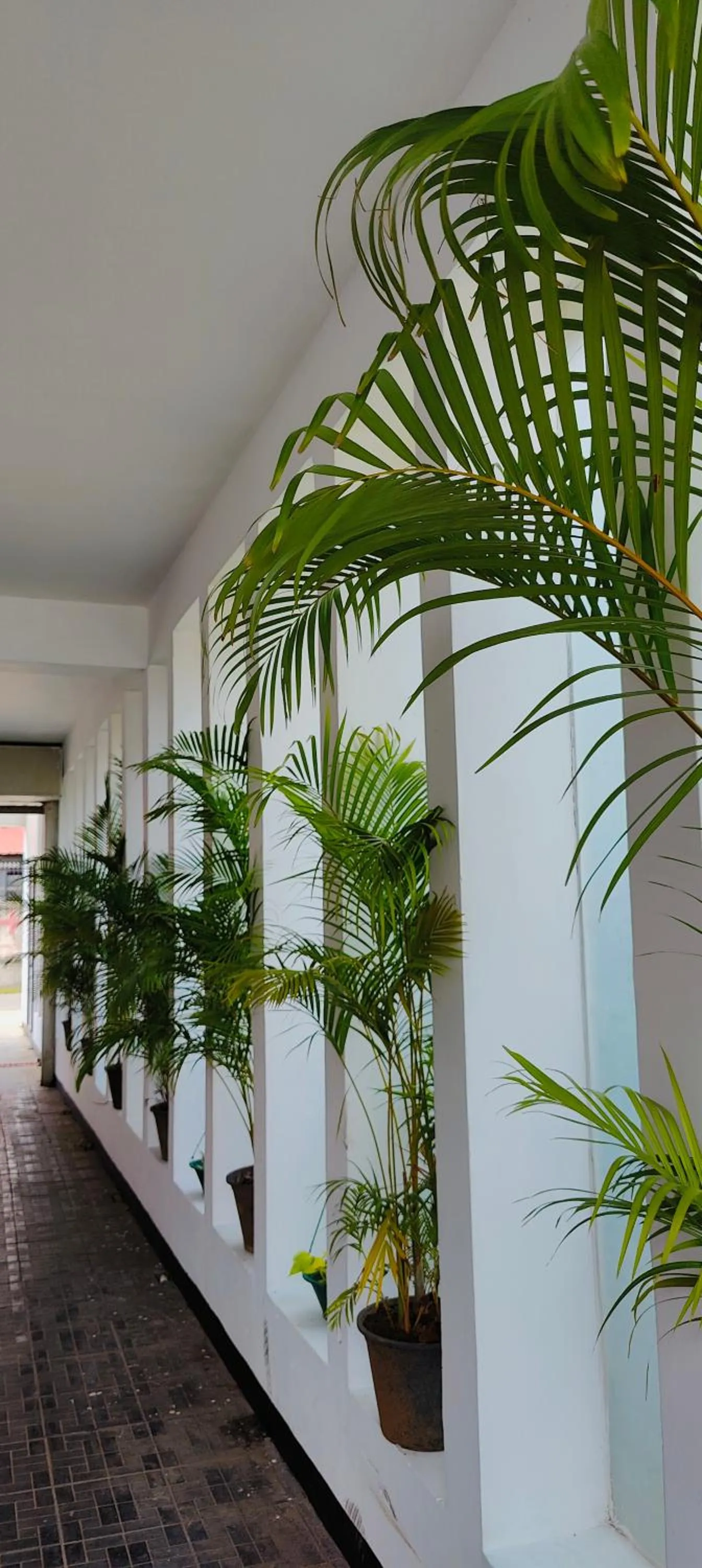 Property building in Subhas Tourist Hotel