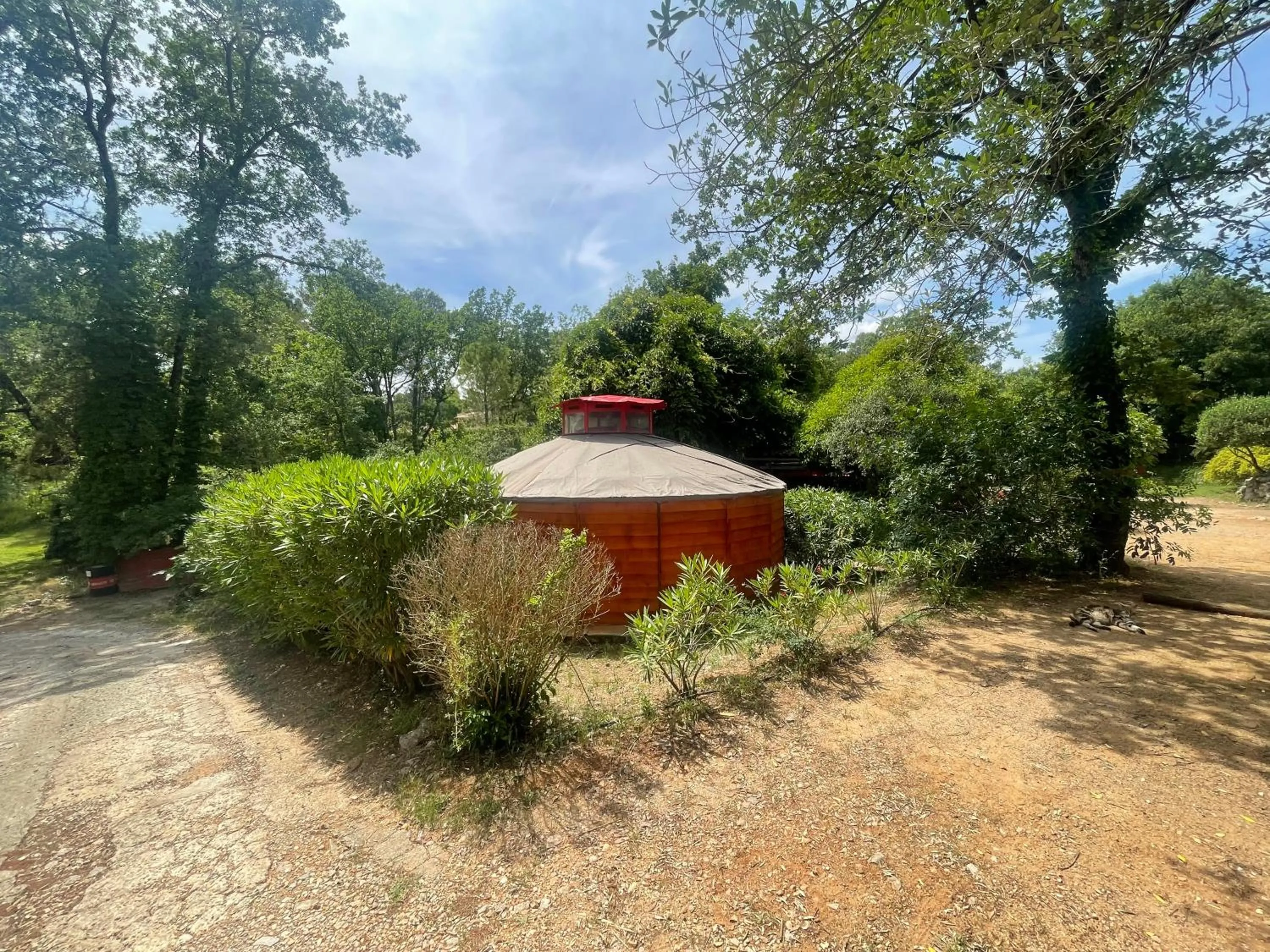 B&B L'Albatros