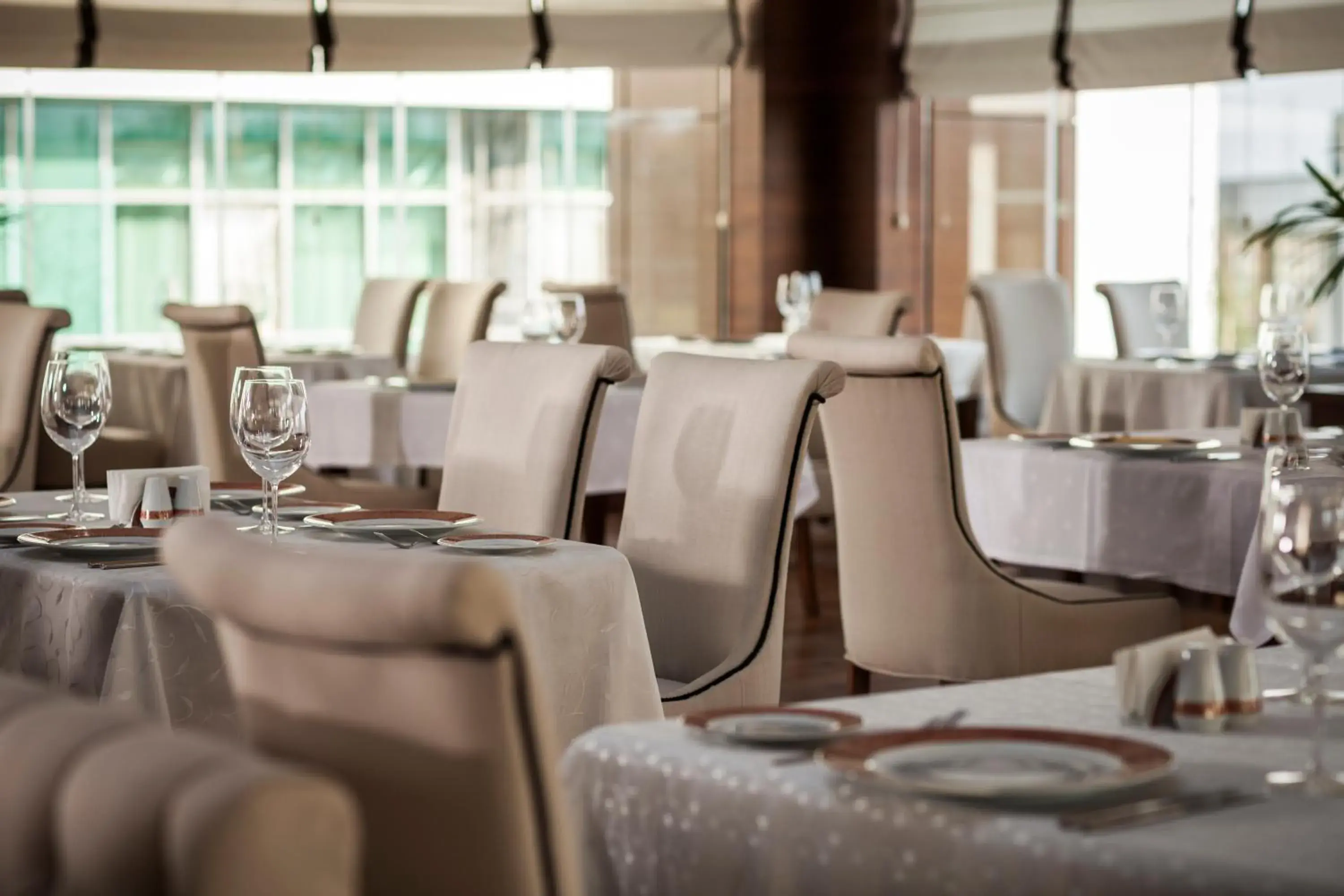 Restaurant/places to eat in Gashalti Health Hotel Naftalan Restaurant/places to eat in Gashalti Health Hotel Naftalan