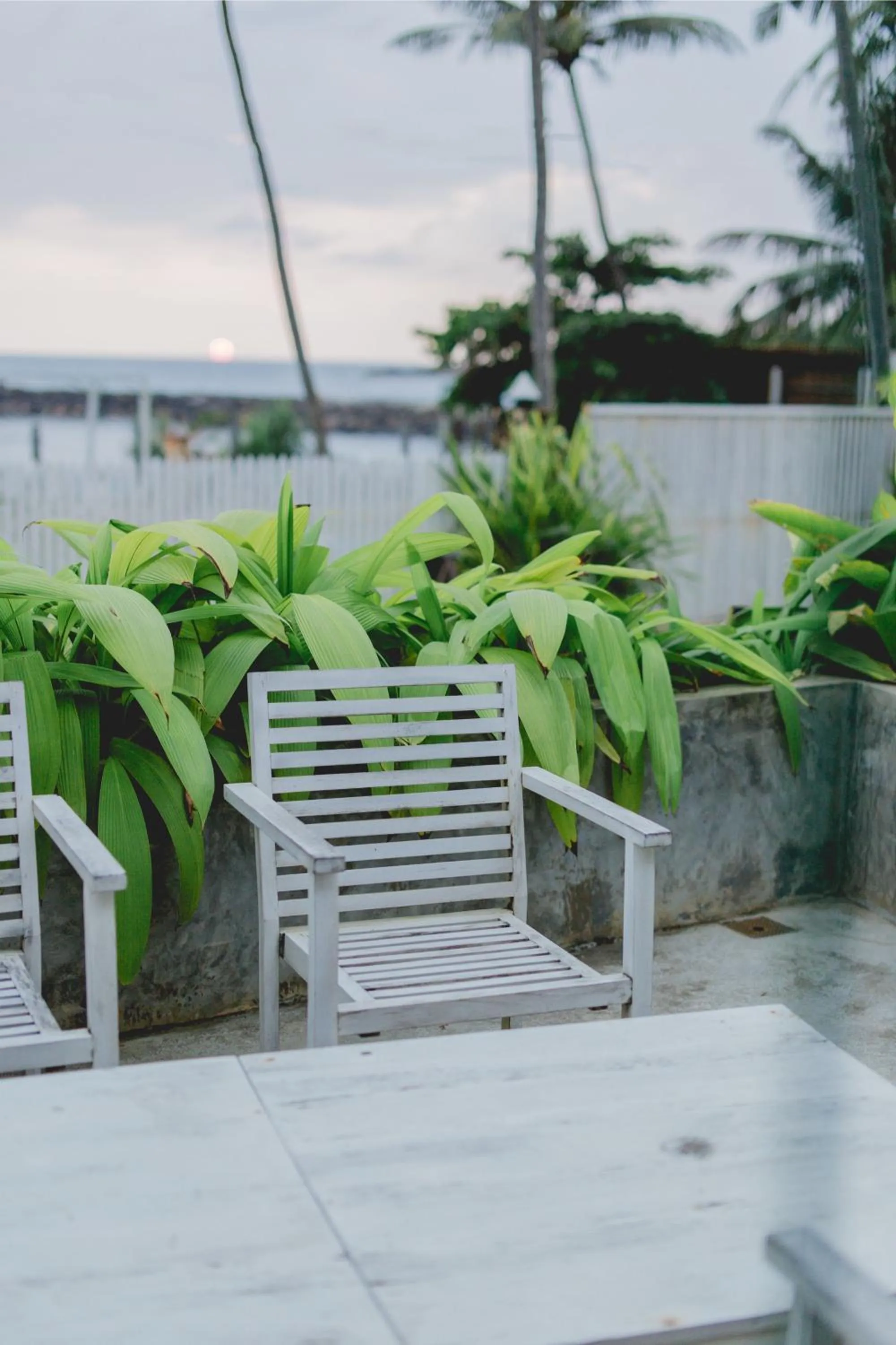 Restaurant/places to eat in Shangrela Beach Resort by ARK