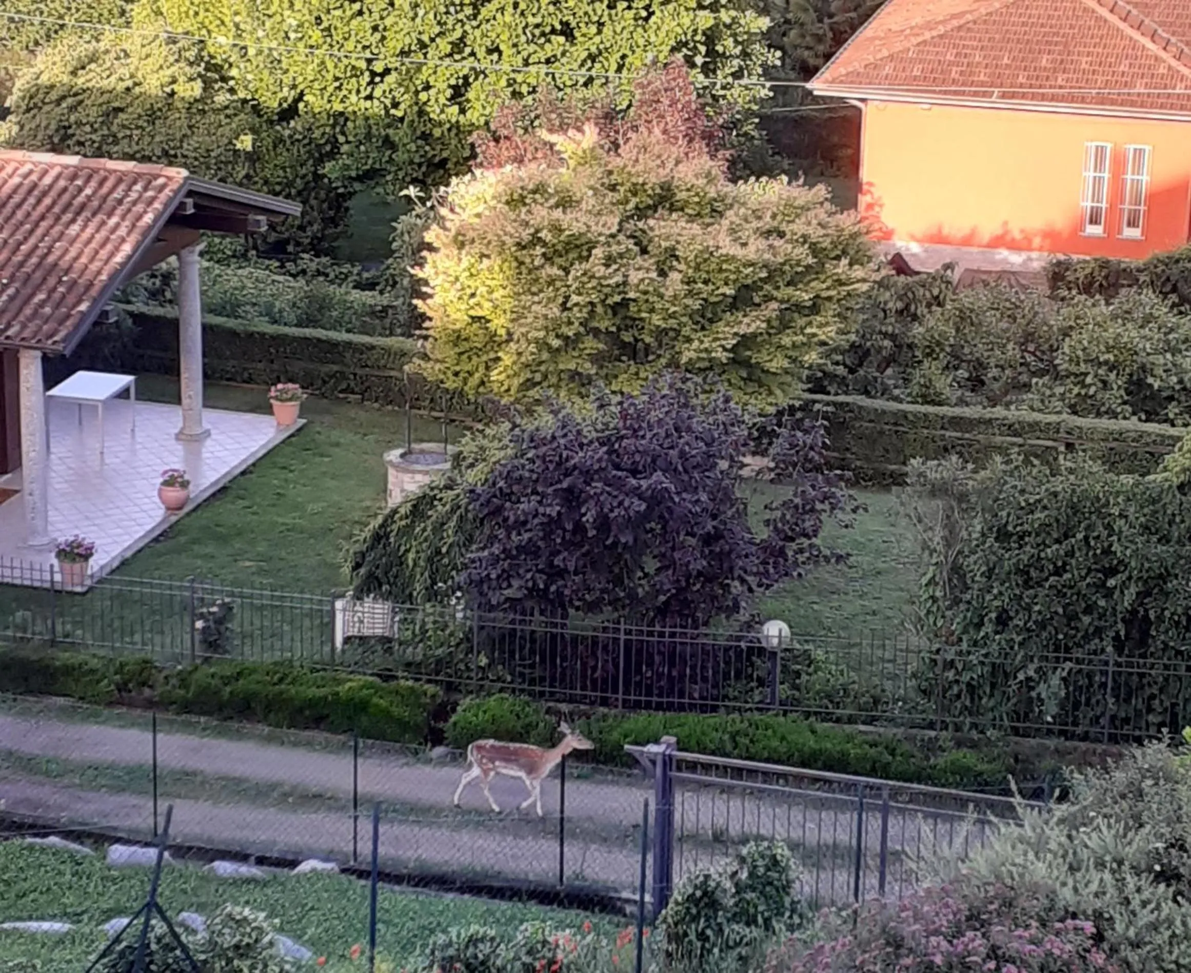 B&B La Civetta