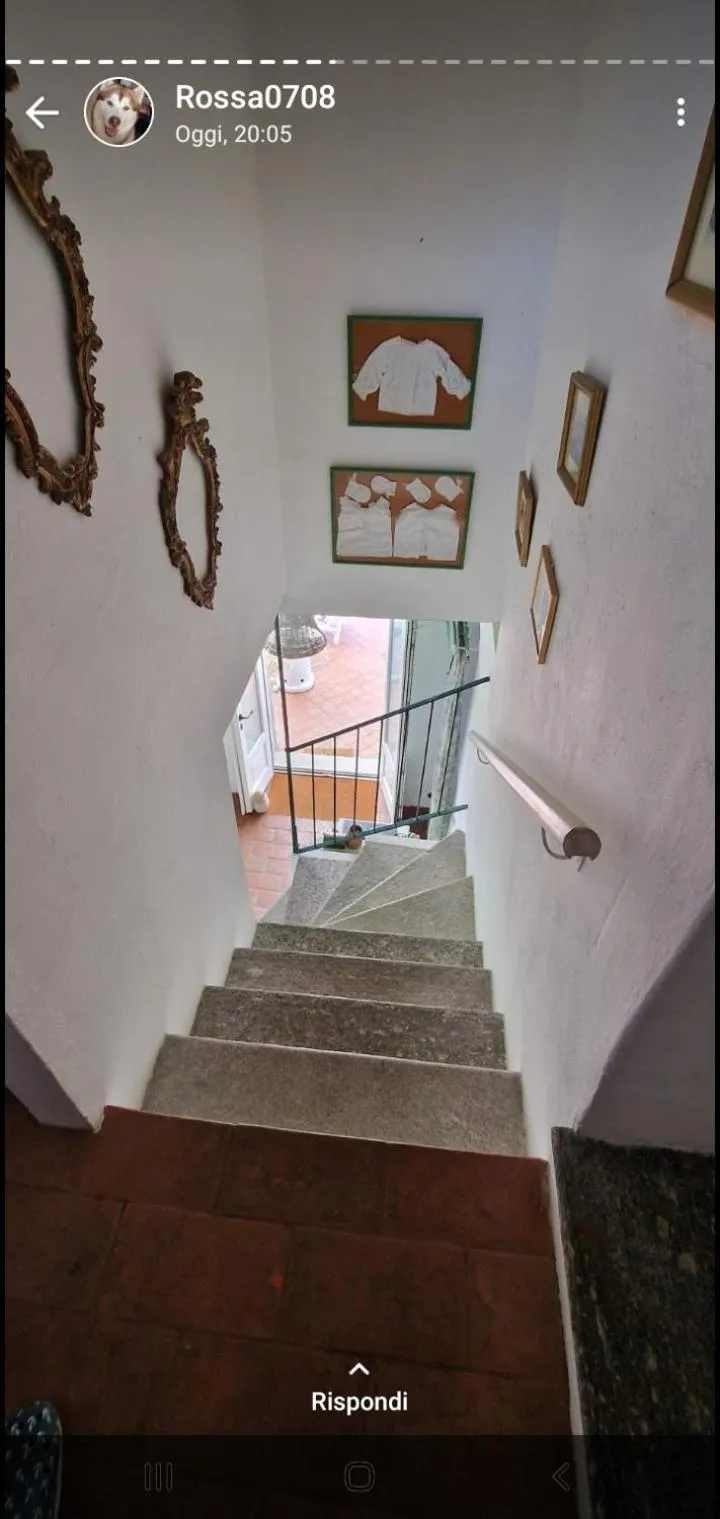 B&B La Civetta