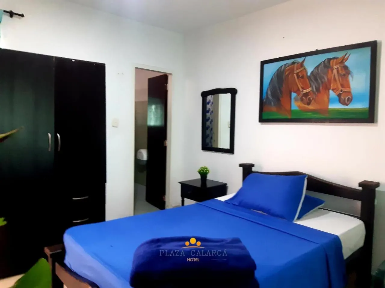 Hotel Plaza Calarcá