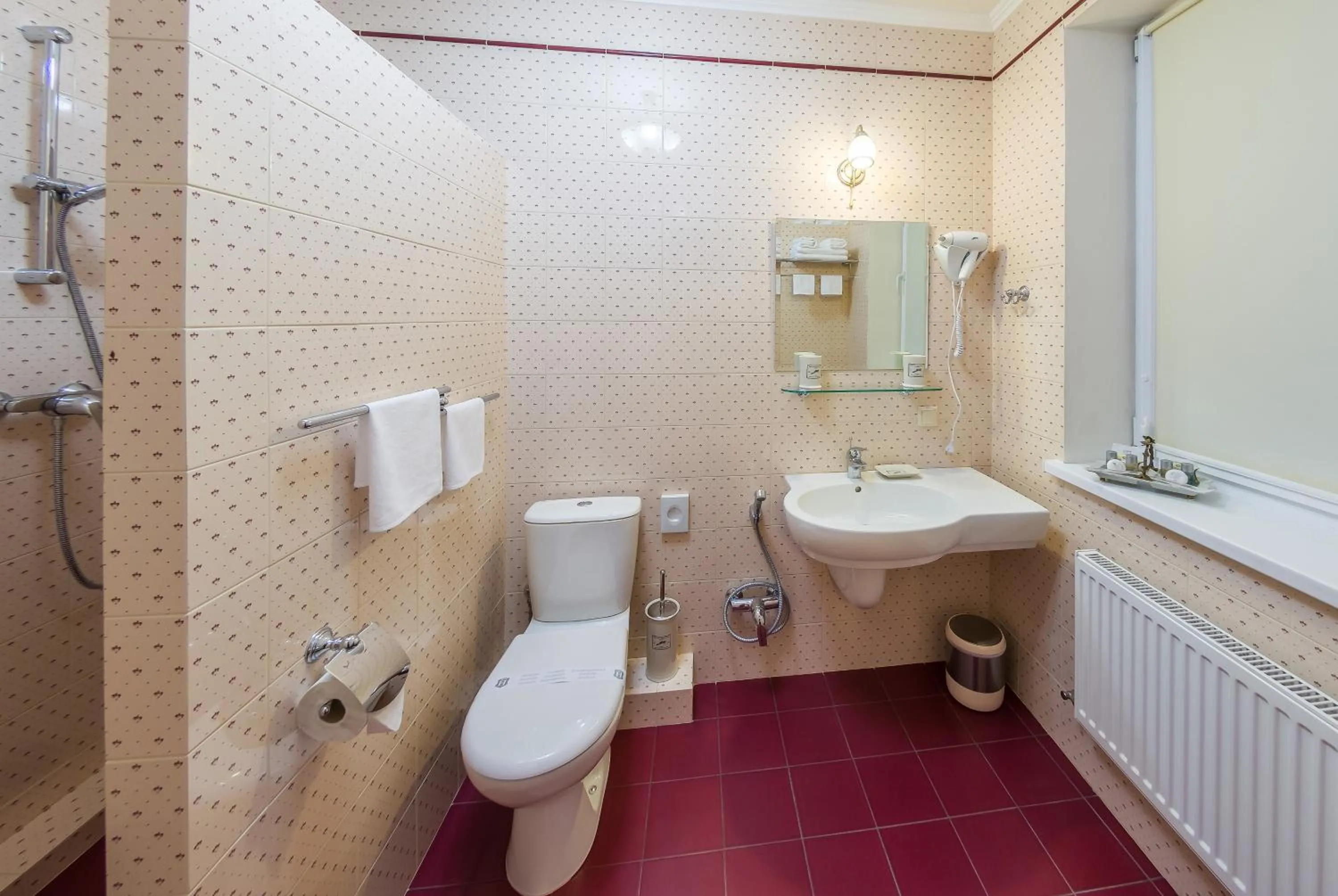 Toilet in Bystrytsya Lux