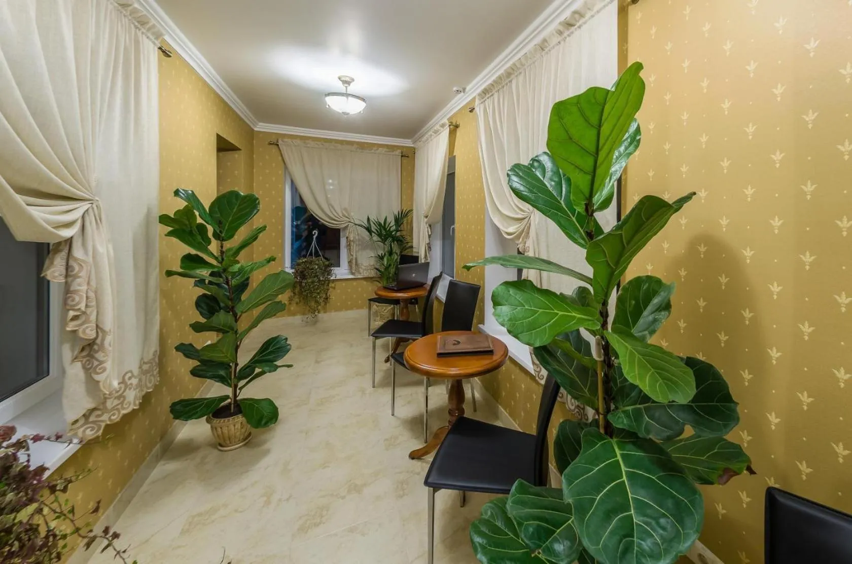 Bystrytsya Lux