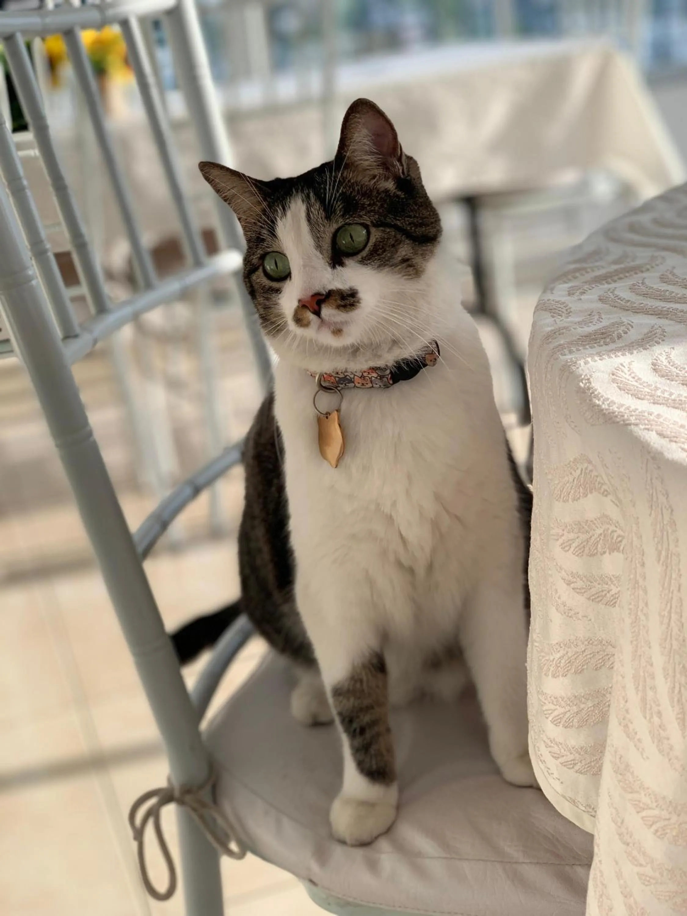 Dining area in Hotel Parque de los Novios Inn