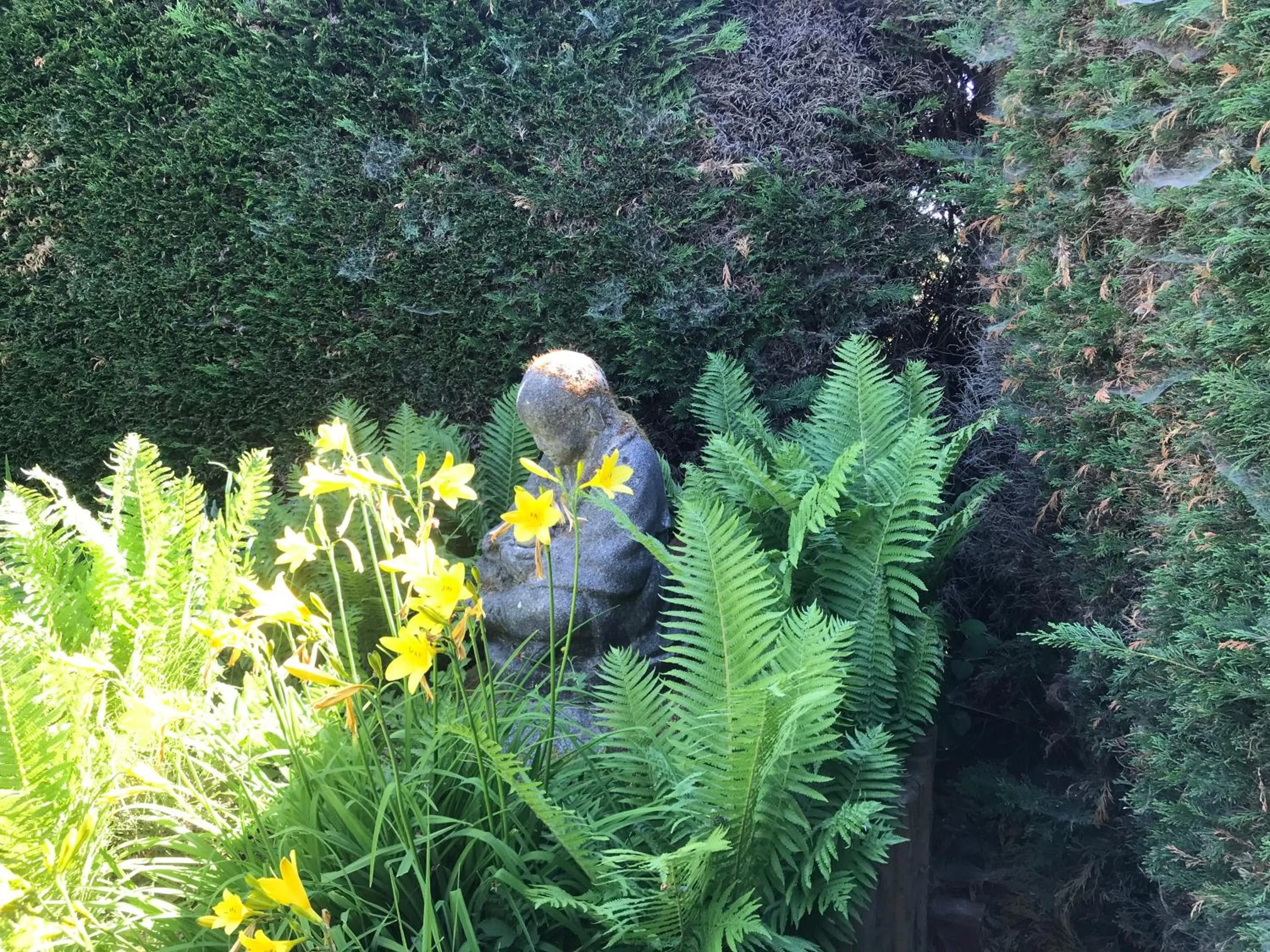 Garden view in B&B Koornemoezen