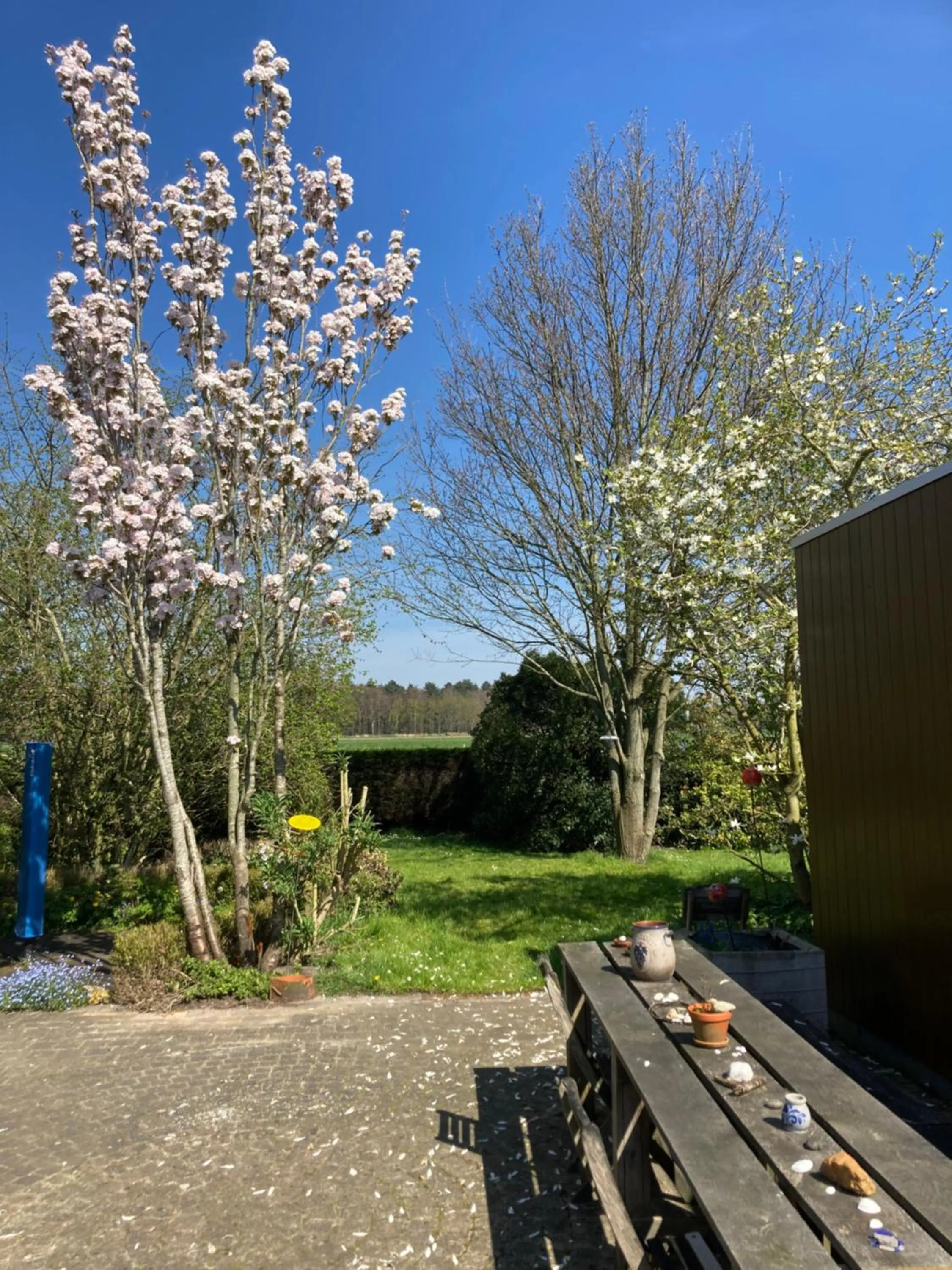 Garden view in B&B Koornemoezen