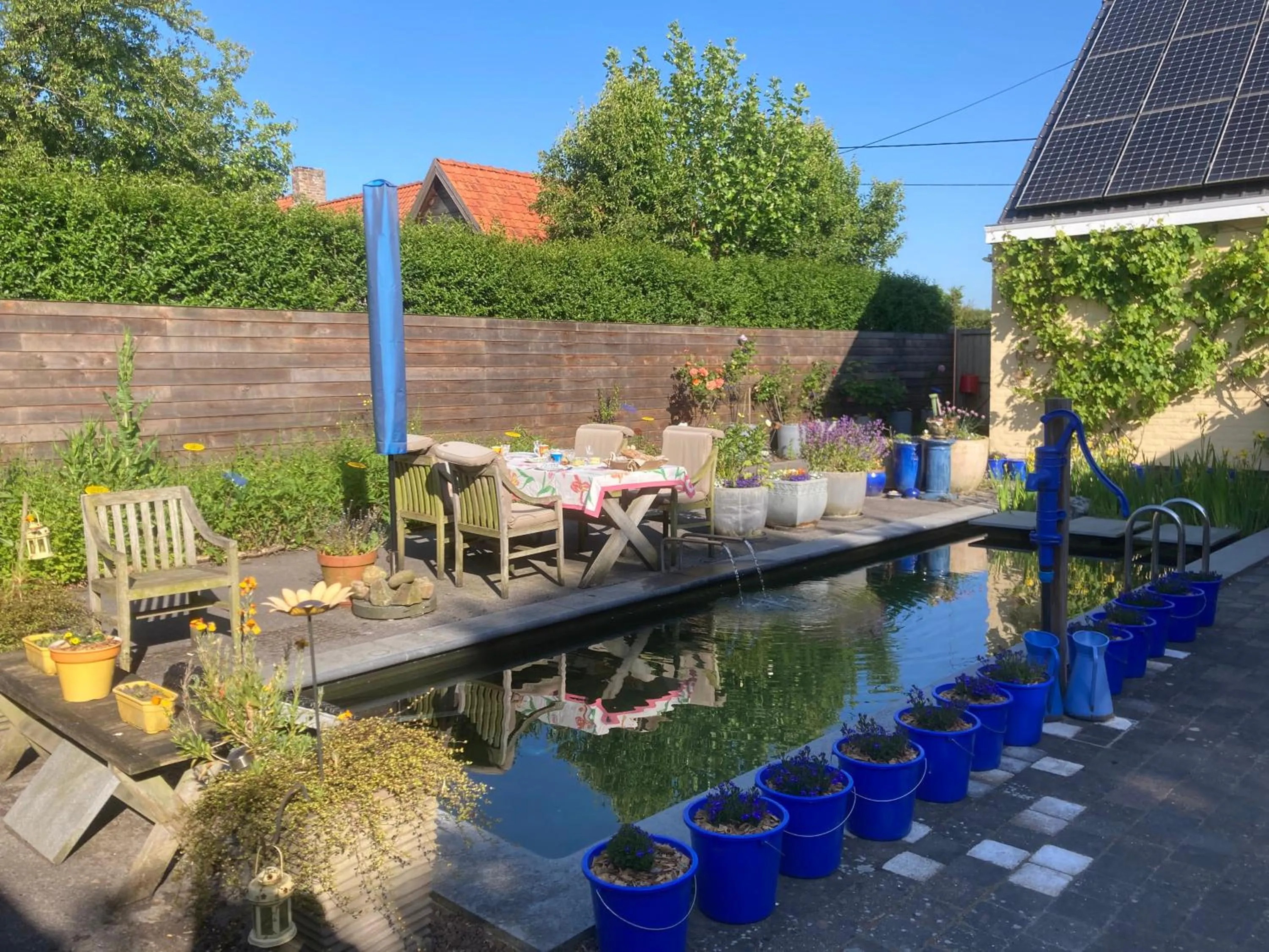 Swimming pool in B&B Koornemoezen