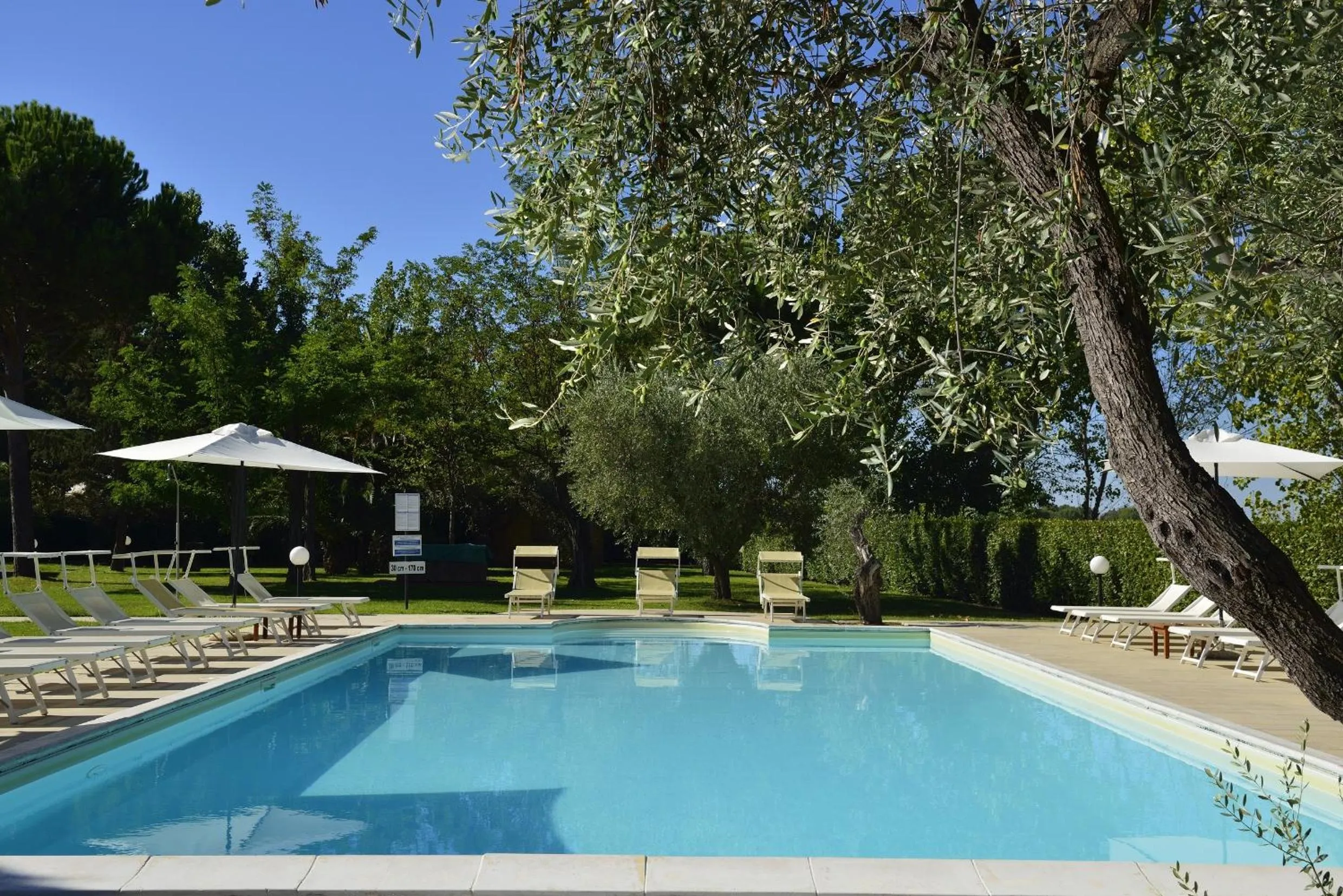 Day in Fattoria San Lorenzo