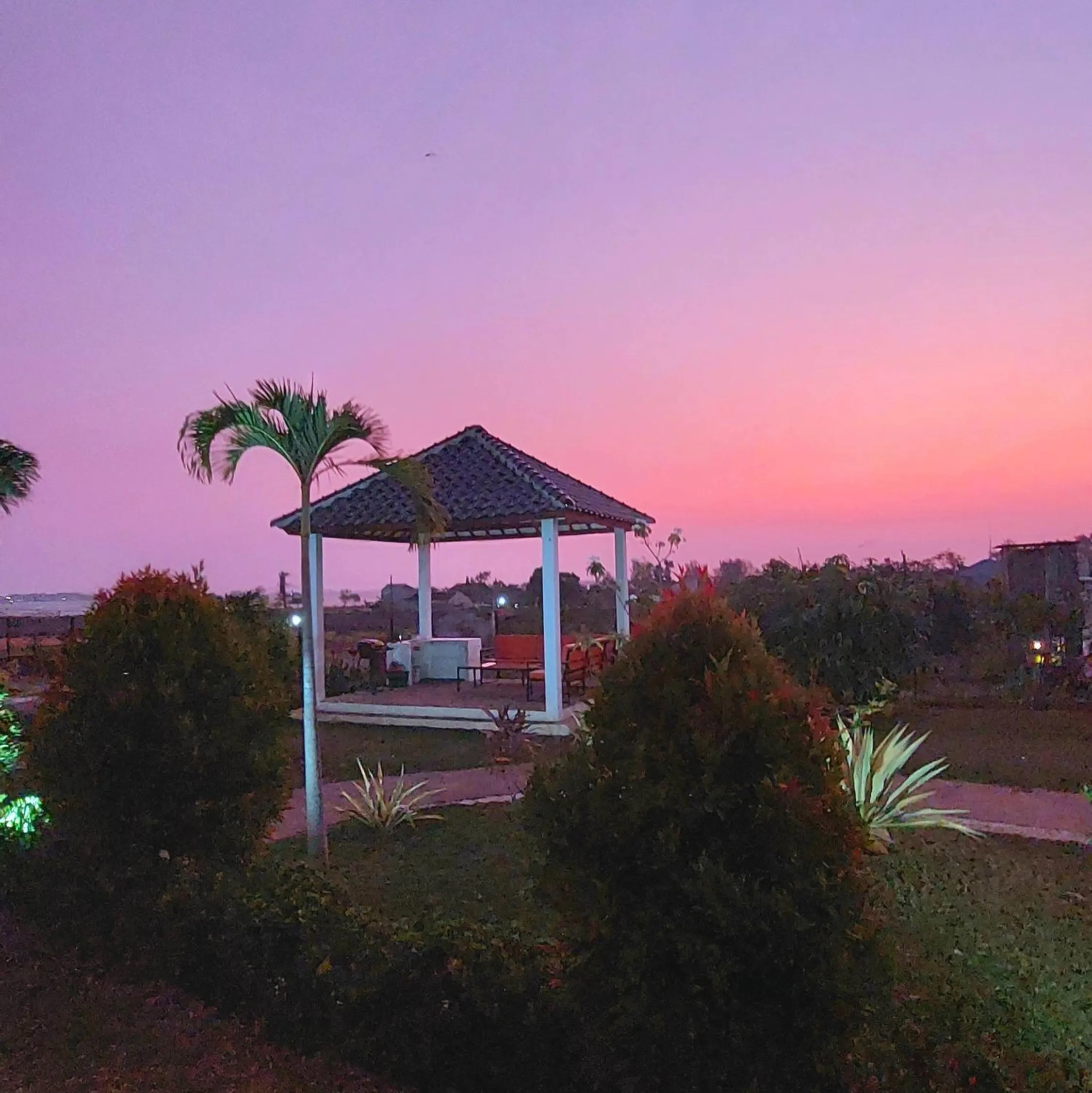 Garden in Garden House Jepara