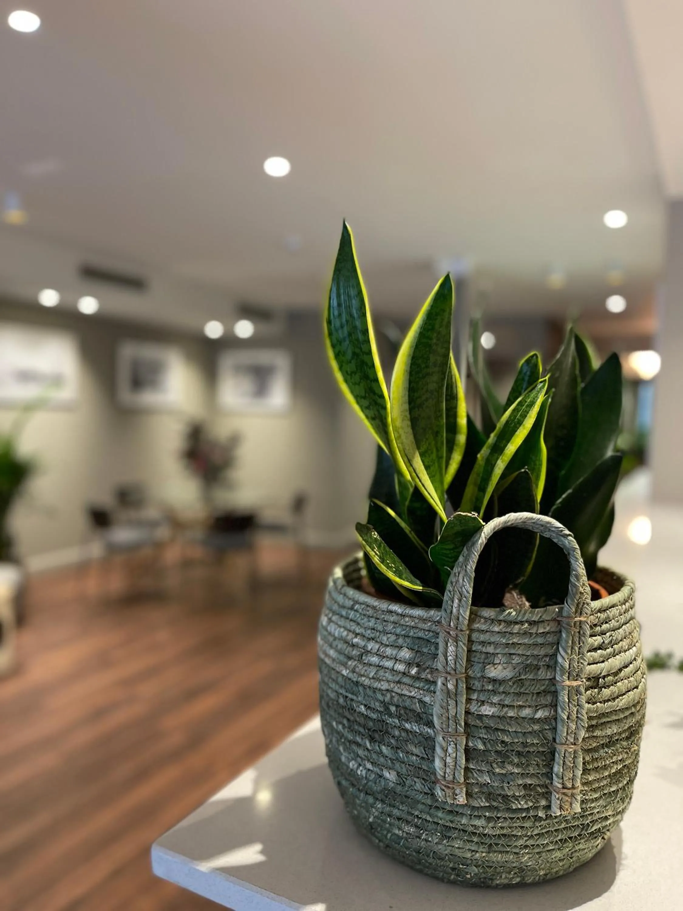 VTZ Hotel San Valero