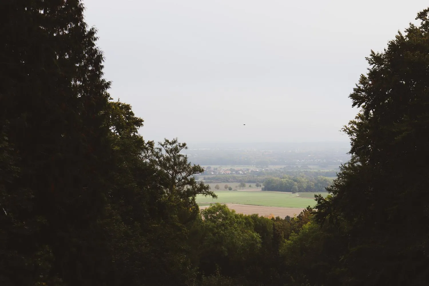 Natural landscape in Peak Hotel & Event