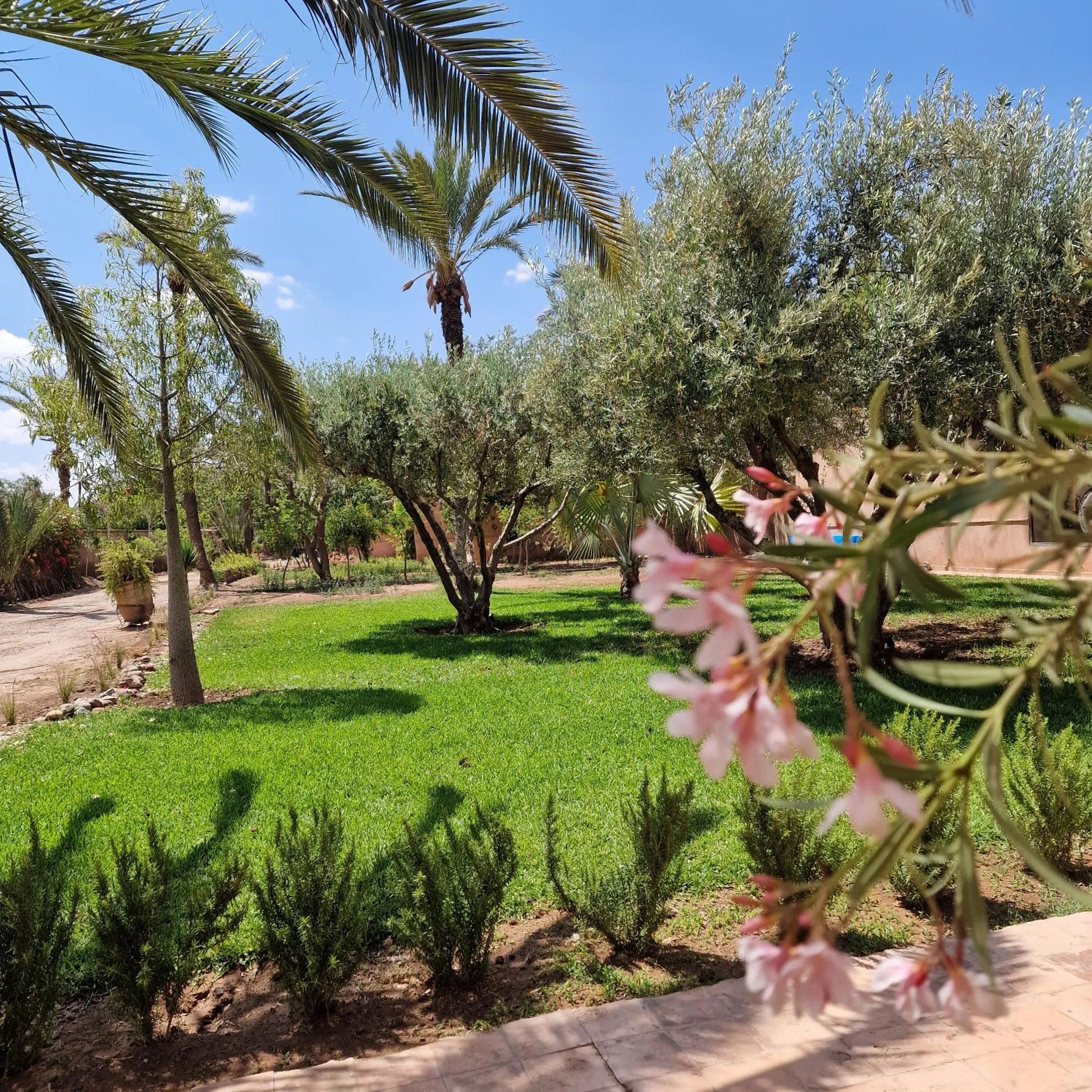 Garden in Dar 55 - Berber House