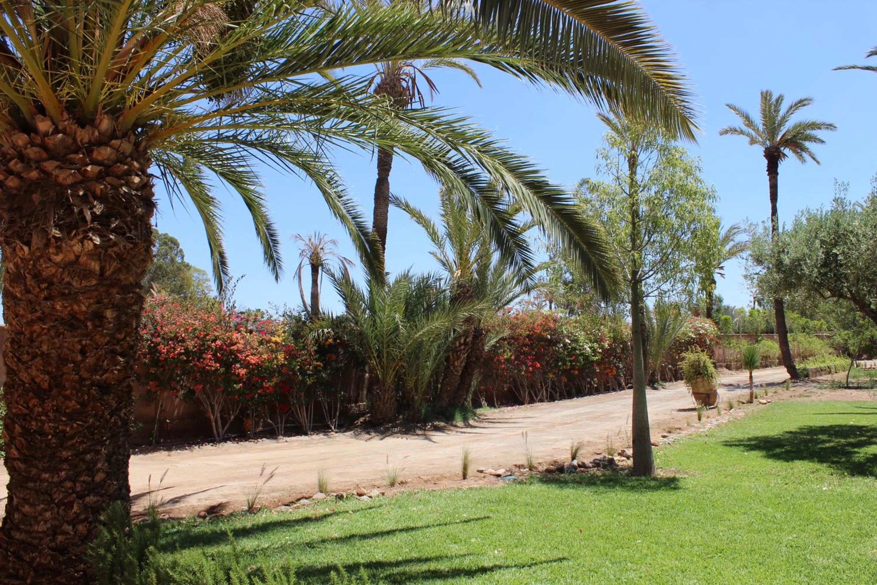 Dar 55 - Berber House